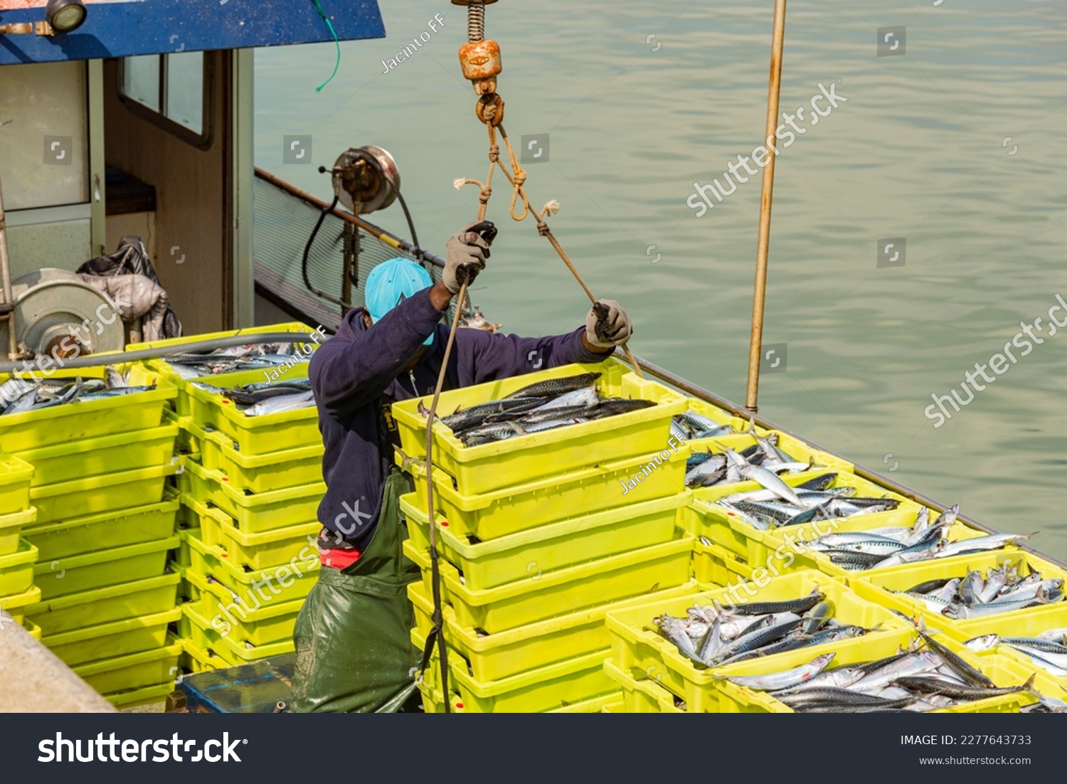 fishing boat in the middle of the mackerel season unloading the yellow boxes in the harbour, person with crane at work  #2277643733