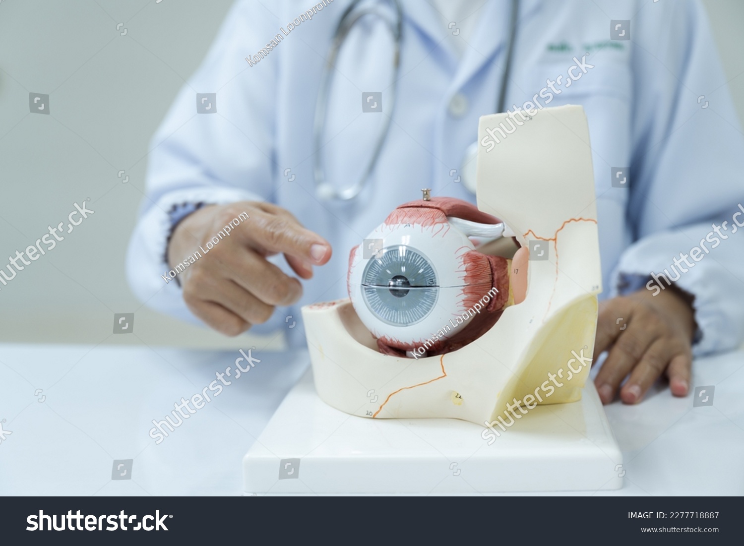 Ophthalmologist hand pointing eye anatomy human model on white background.Part of human body model with organ system for health student study in university.Human eye model.Medical education concept. #2277718887