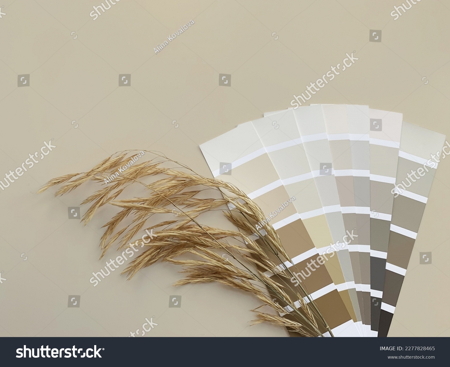 Concept: nature inspires colors. Samples of paints  with dried grass on a beige background.  Neutral beige and gray color palette for decorating and design. Natural pastel colors for home renovation #2277828465