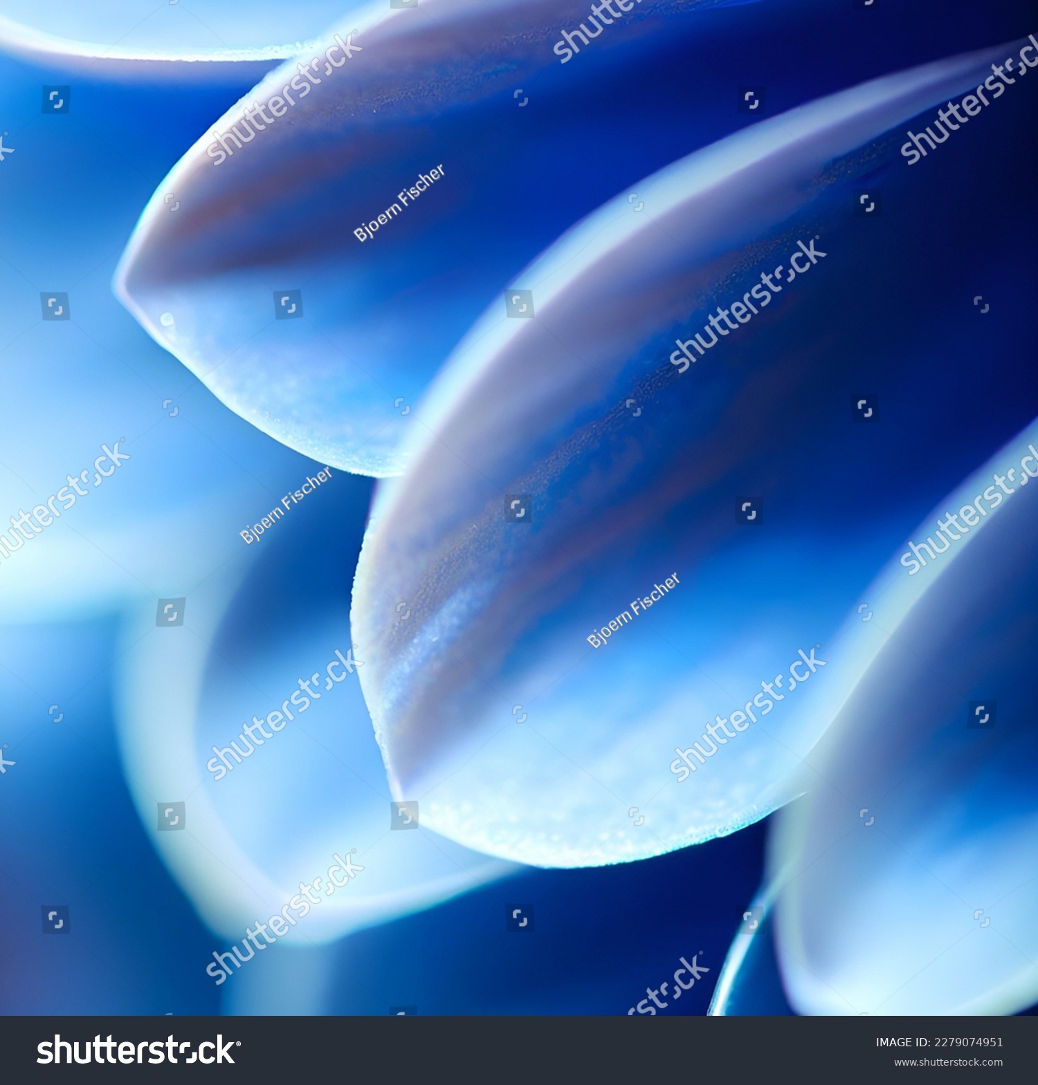macro close up of blue flower petals #2279074951
