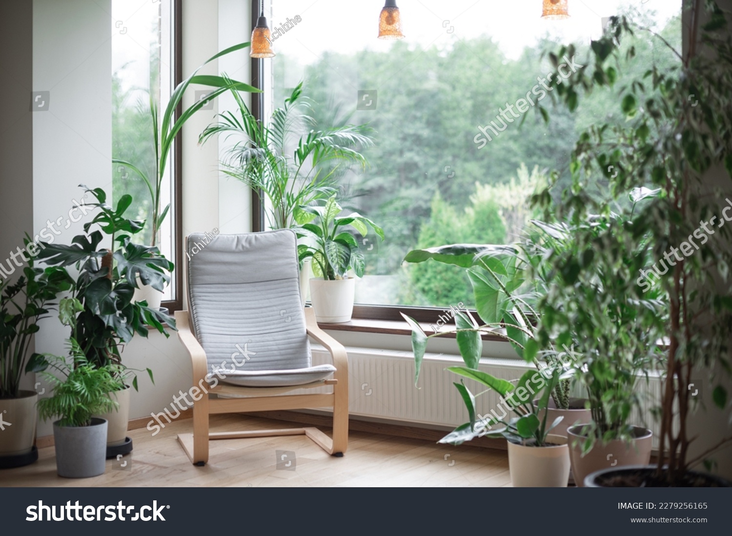 Grey armchair, indoor plants, monstera, palm trees. Urban jungle apartment. Biophilia design. Cozy tropical home garden. Home gardening. Gardening, hobby concept Eco friendly decor of living room #2279256165