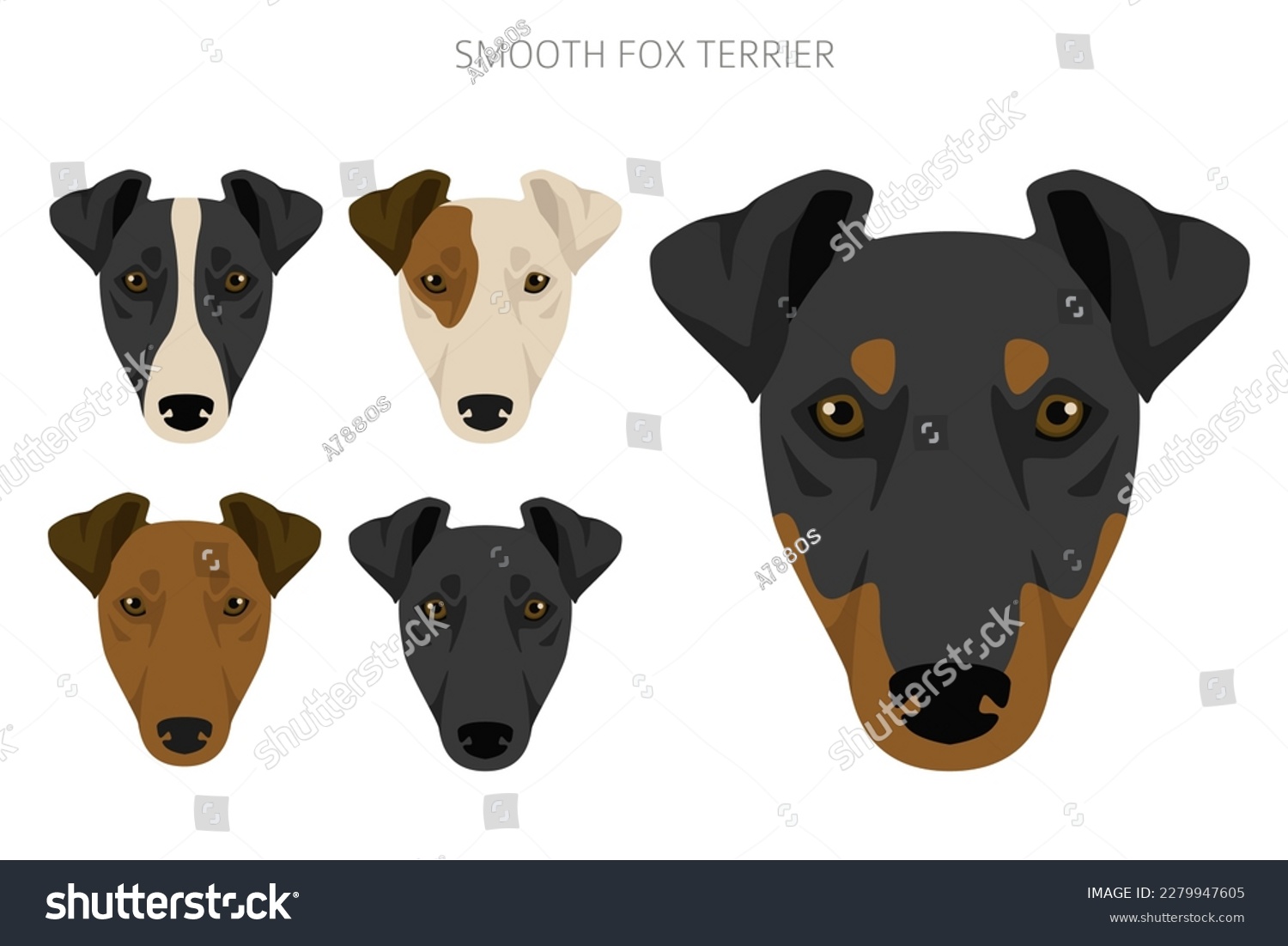 Smooth fox terrier clipart. Different poses, - Royalty Free Stock ...