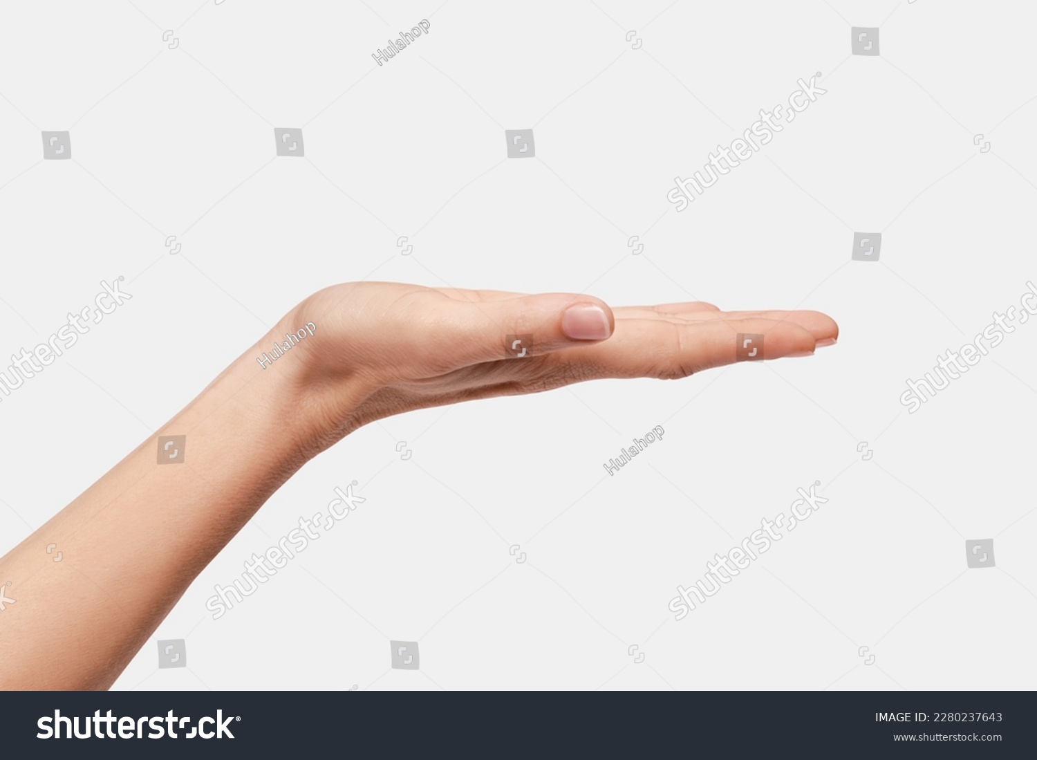 woman's hand holding something, object #2280237643