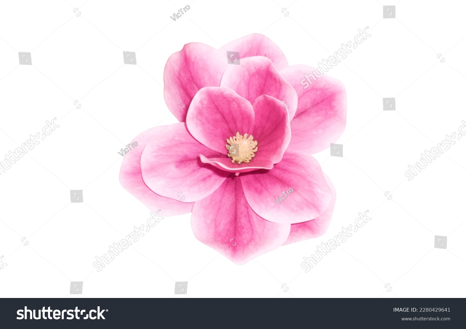 Fantastic flower with pink petals. Beautiful image isolated on white background. Ideal for the representation of a perfume, aroma or expression of spring summer or freshness #2280429641