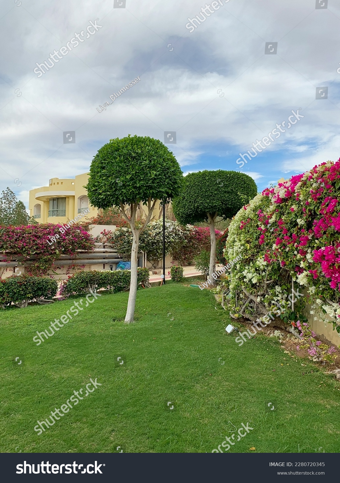 Beautiful trees and bushes on the territory of luxury hotel situated on the tropical resort on Red Sea coast in Sharm el Sheikh, South Sinai, Egypt, Africa. #2280720345