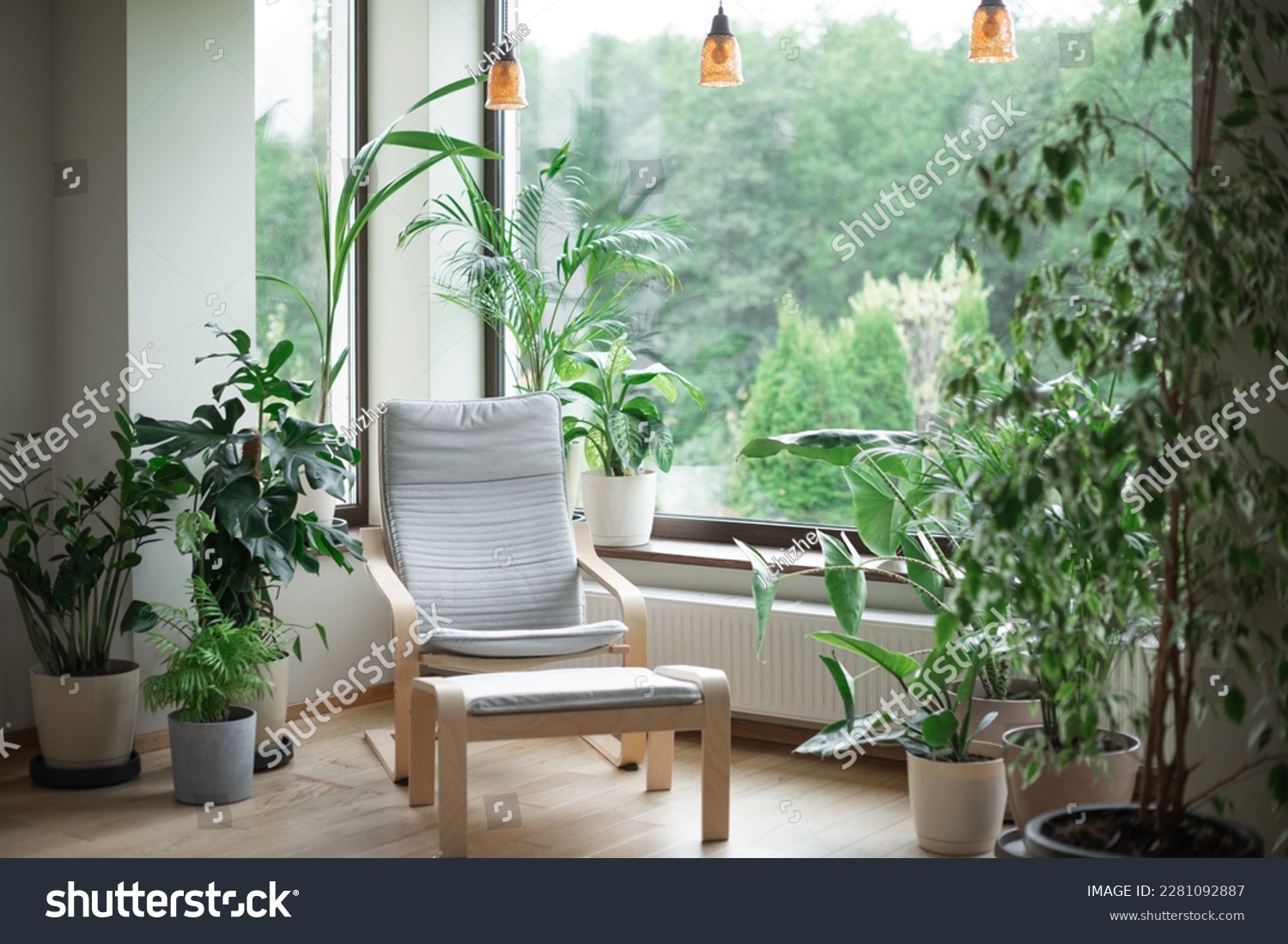 Grey armchair, indoor plants, monstera, palm trees. Urban jungle apartment. Biophilia design. Cozy tropical home garden. Home gardening. Gardening, hobby concept Eco friendly decor of living room #2281092887