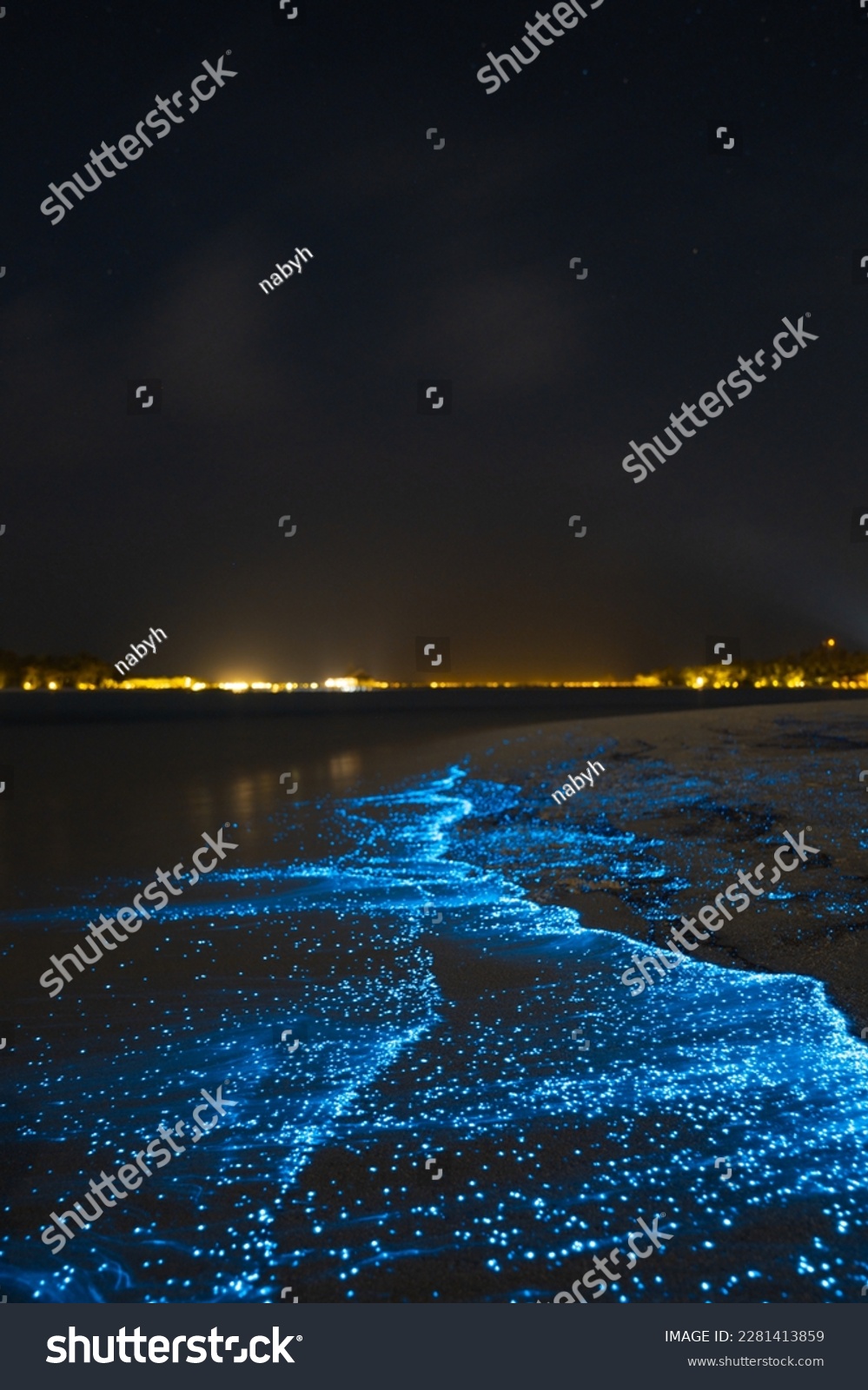 Bioluminescent glowing beach. Bio luminescence. Illumination of plankton at Maldives. Many bright particles at the beach.  #2281413859