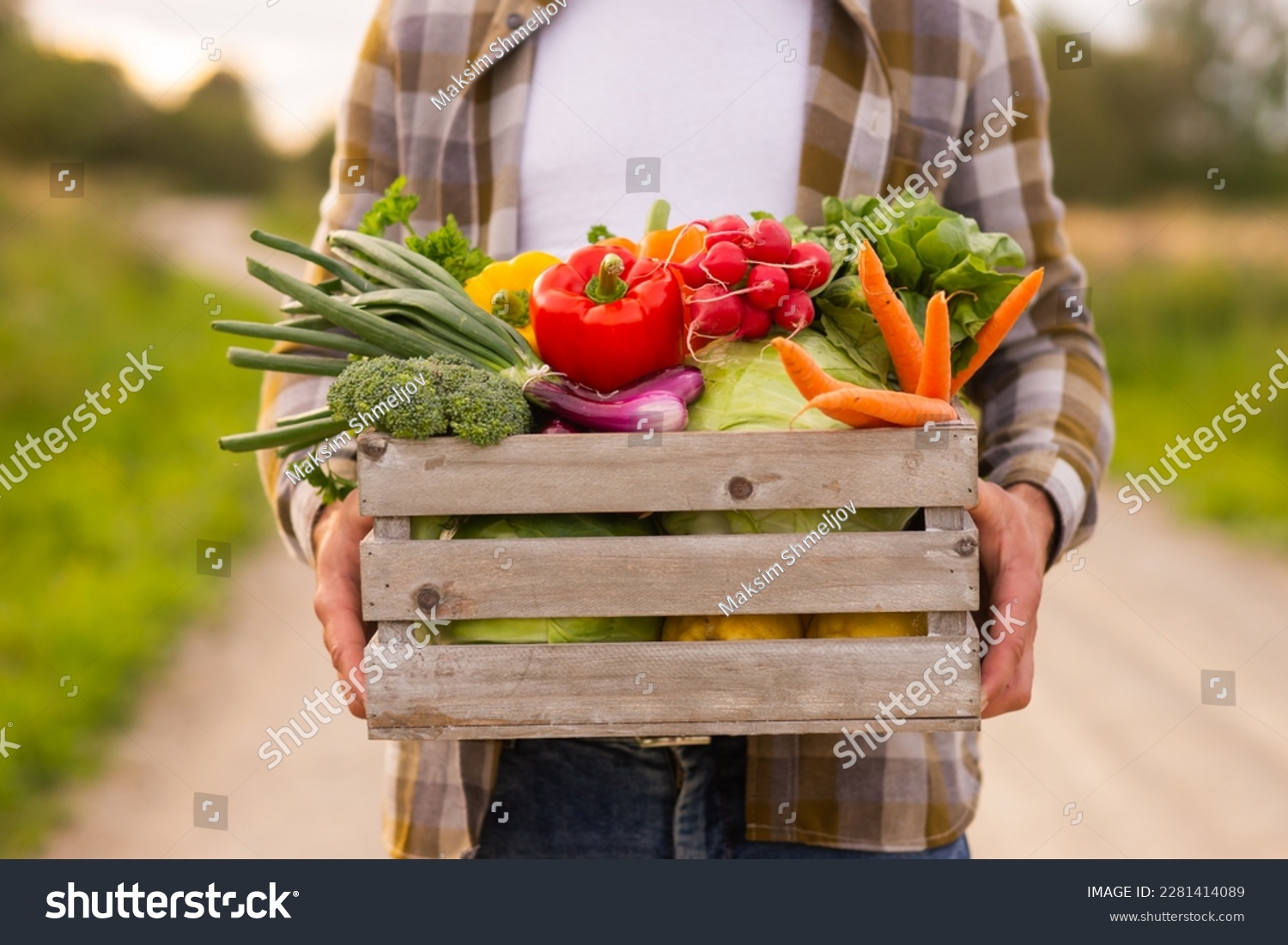 Farmer with a vegetable box in front of a sunset agricultural landscape. Man in a countryside field. Country life, food production, farming and country lifestyle concept. #2281414089