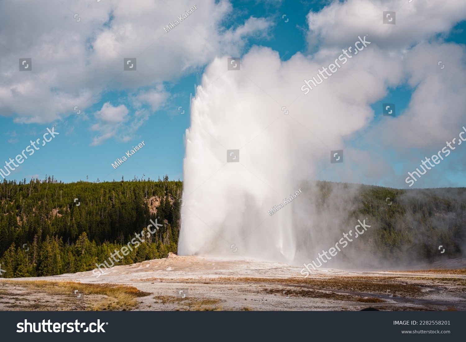 Old Faithful geyser erupting in Yellowstone National Park. #2282558201