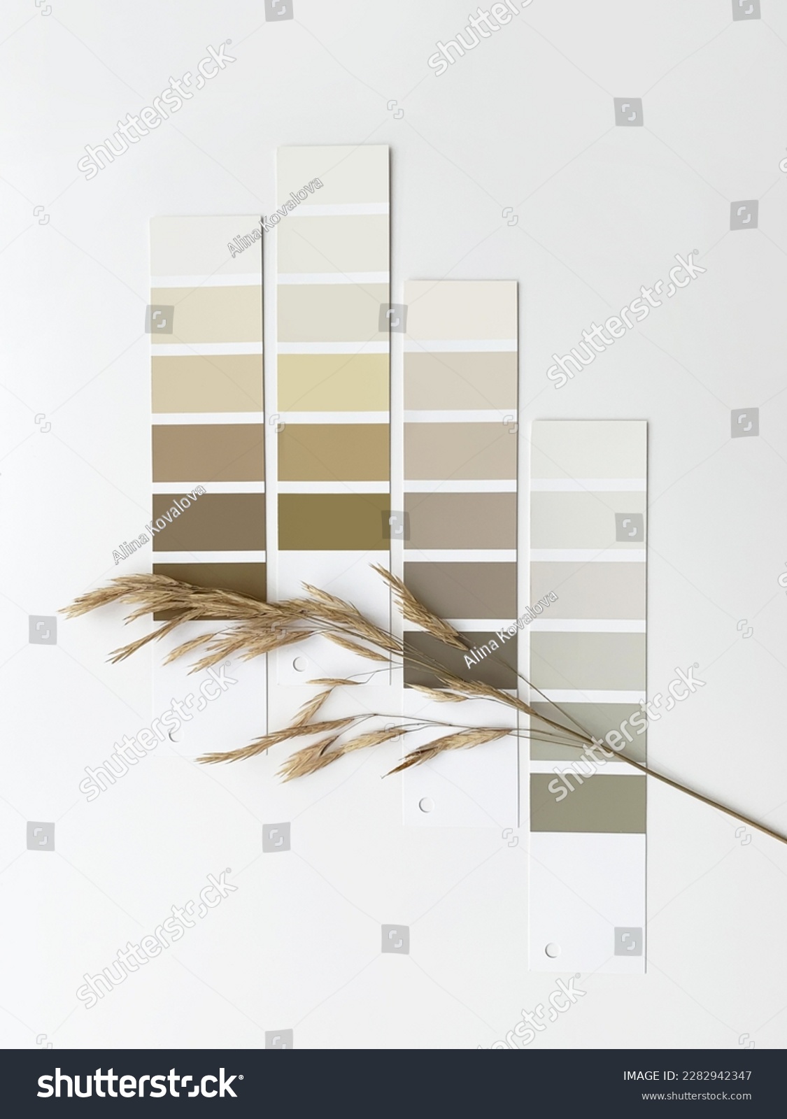 Concept: nature inspires colors. Samples of paints  with dried grass on a white background.  Neutral beige and gray color palette for decorating and design. Natural pastel colors for home renovation #2282942347