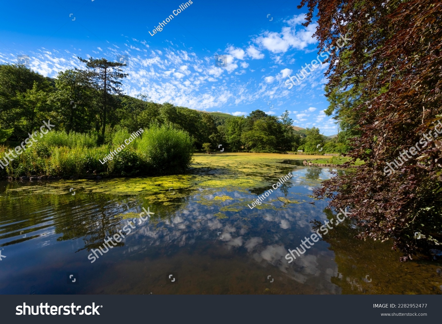 The lake at Craig y Nos Country park in the Swansea Valley, South Wales UK.
 #2282952477
