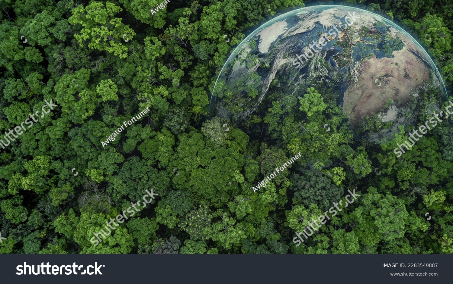Aerial top view green forest with globe earth, Green planet in your hands, Save Earth, Texture of forest view from above ecosystem and healthy environment, Globe and forest. #2283549887