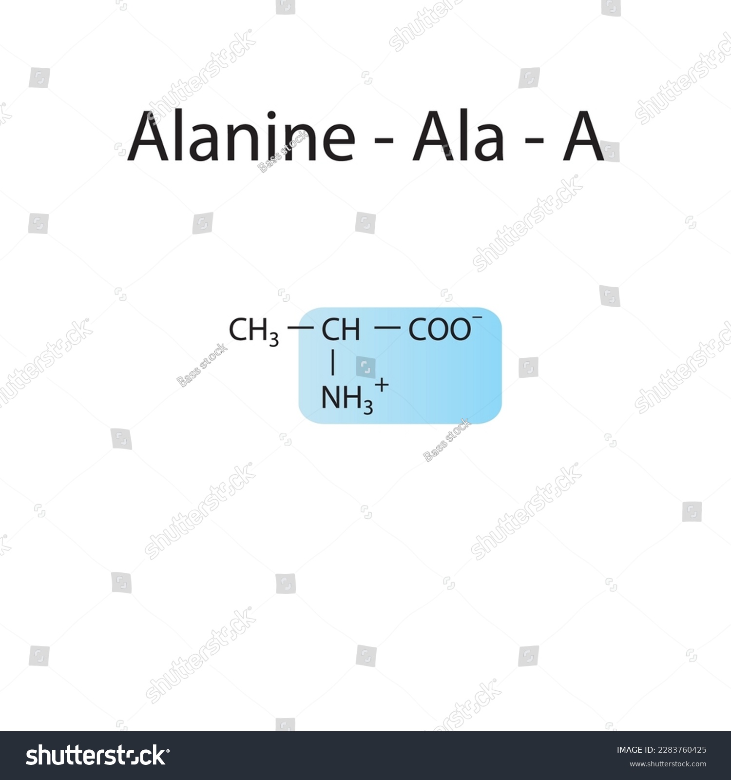 Alanine Ala A Amino Acid Structure Skeletal Royalty Free Stock Vector 2283760425 4971