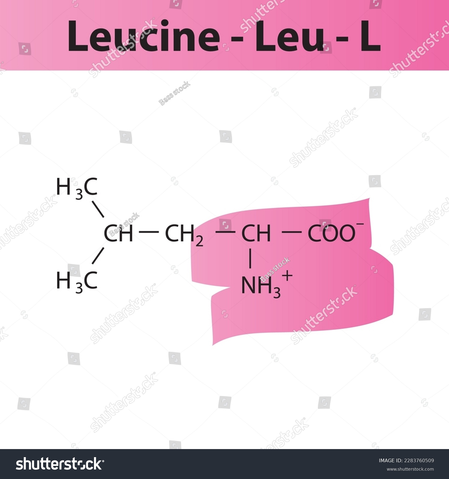 Leucine - Leu - L Amino Acid Structure. Skeletal - Royalty Free Stock 