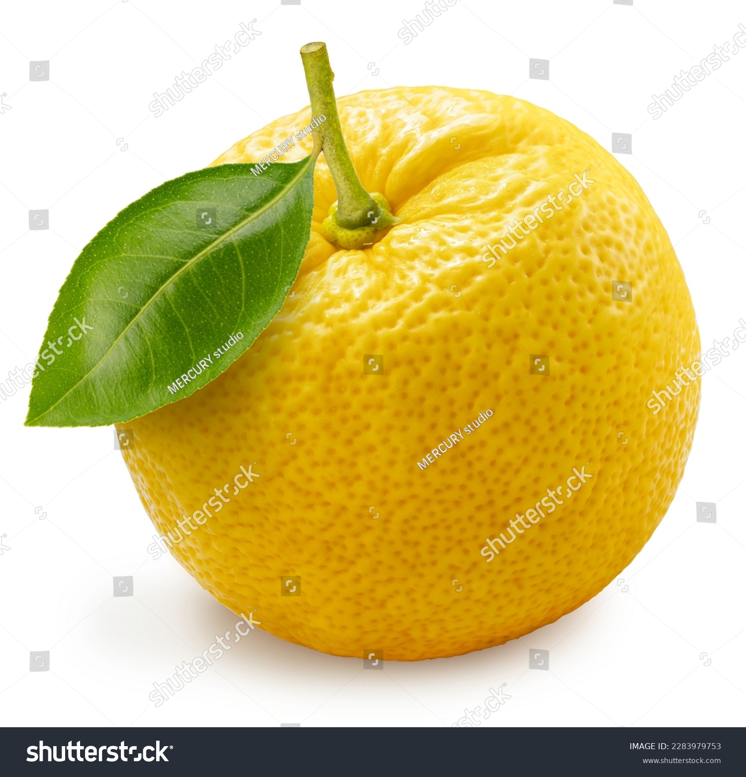 Kochi Yuzu orange isolated on white background With work path, Yellow Yuzu Orange fruit isolated on white background. #2283979753