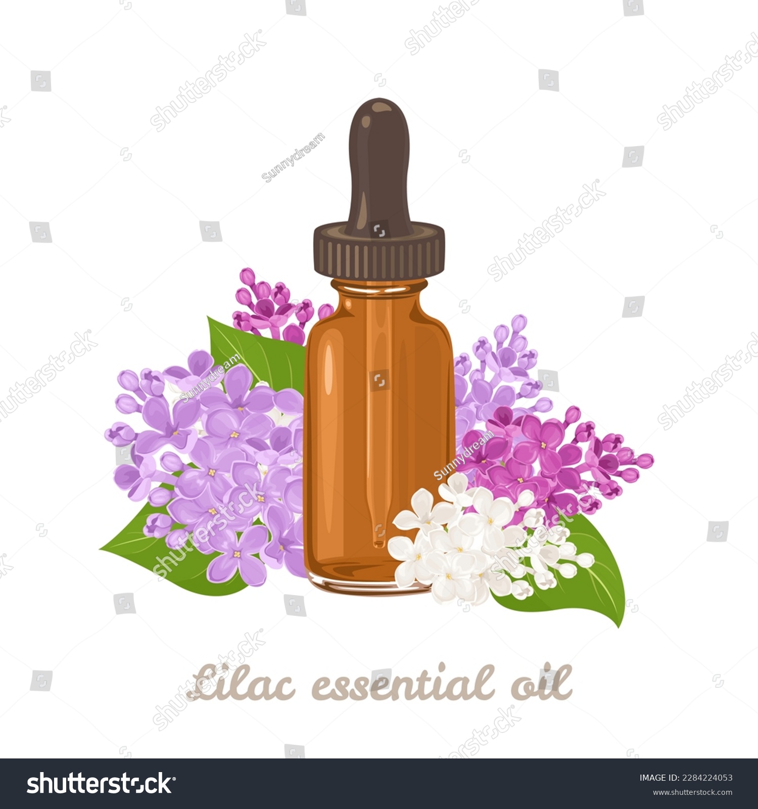 Essential oil of lilac flowers. Amber glass dropper bottle  and flowers isolated on white background. Vector illustration in cartoon flat style. #2284224053