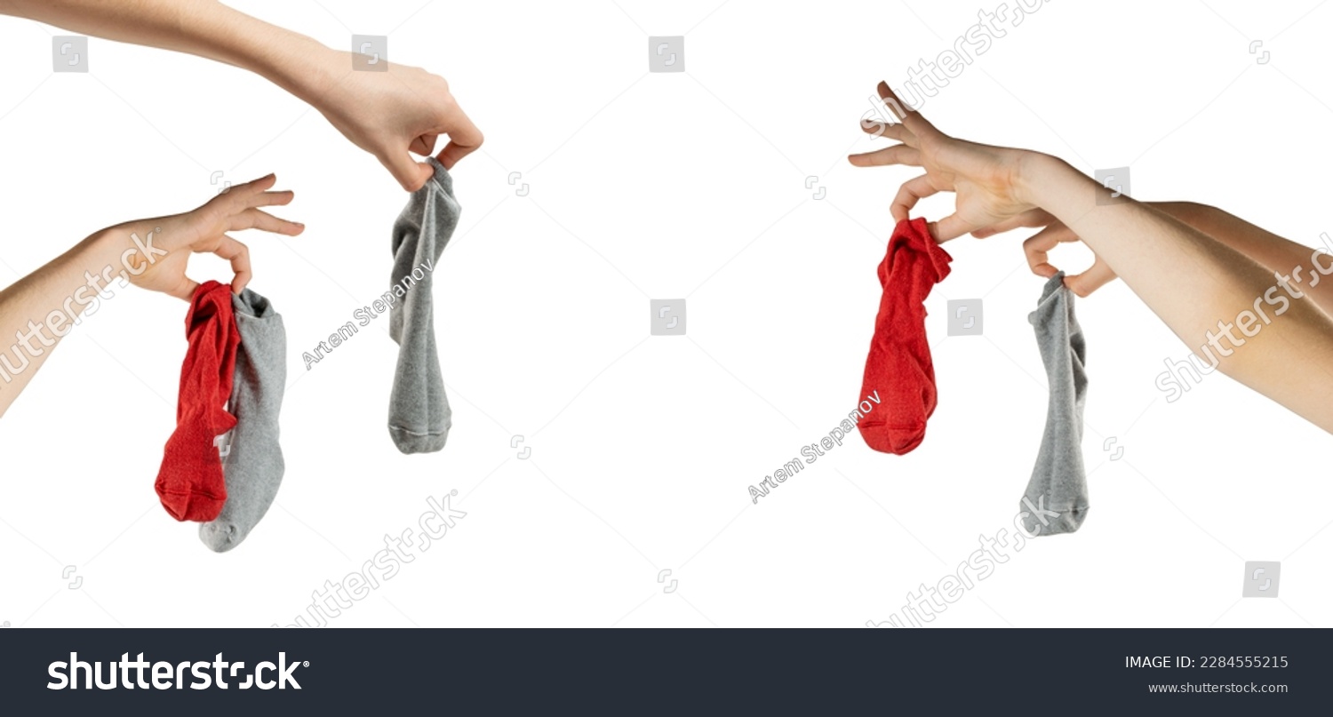 Hand holding dirty socks isolated. Laundry, household chores concept, smelly sock, sweaty cotton underwear, used dirty socks on white background, clipping path #2284555215