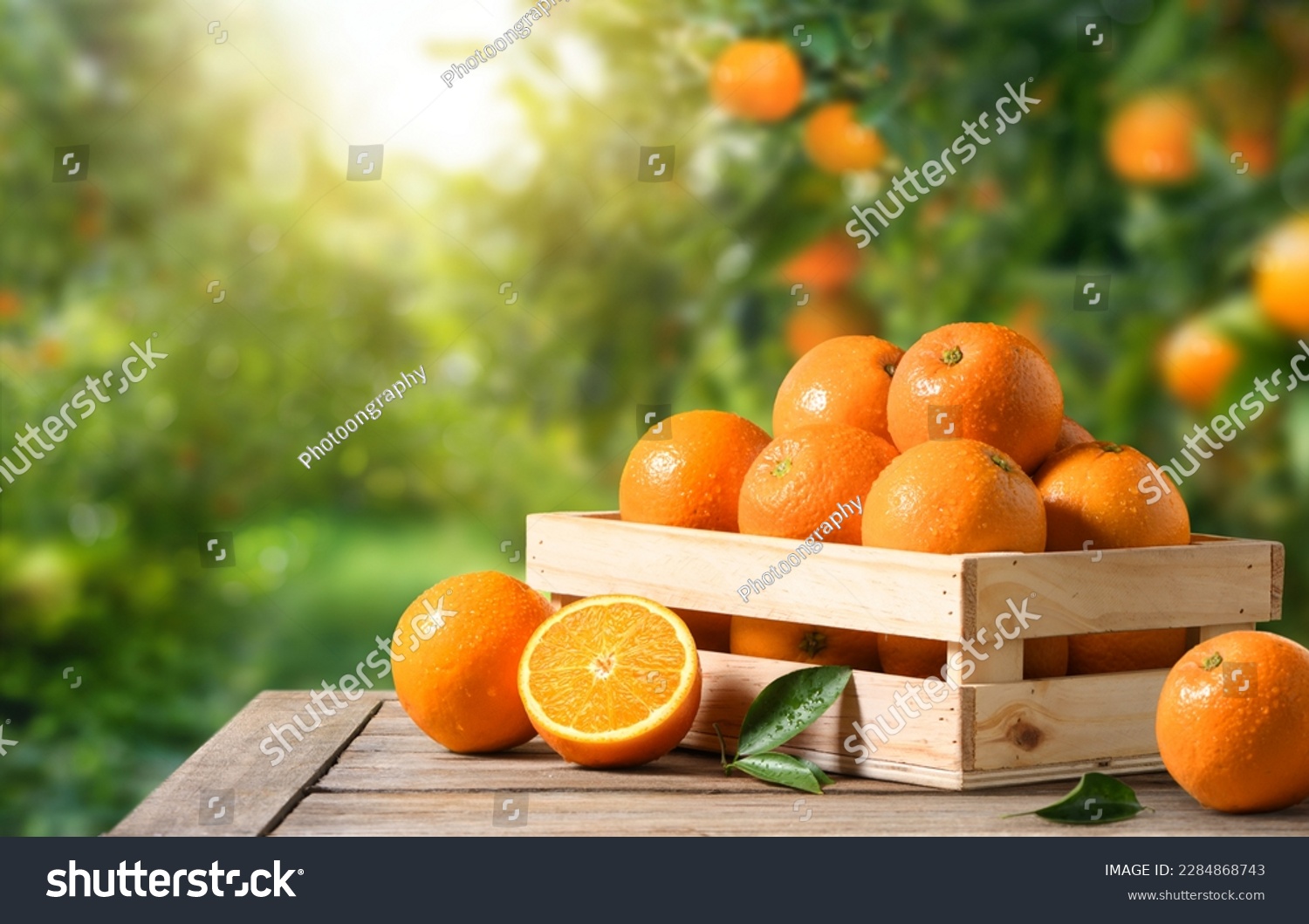Fresh oranges in wooden crate with orange plantation background. #2284868743