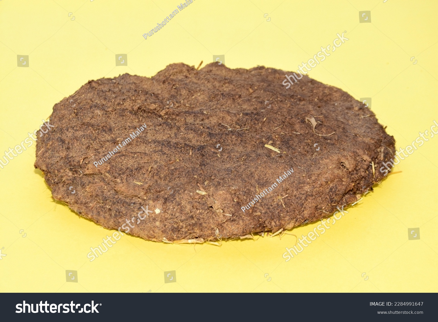 Dry Cow Dung Cakes for Hawan Kund. Cow dung used made incense sticks in India. dung cake for dhup #2284991647