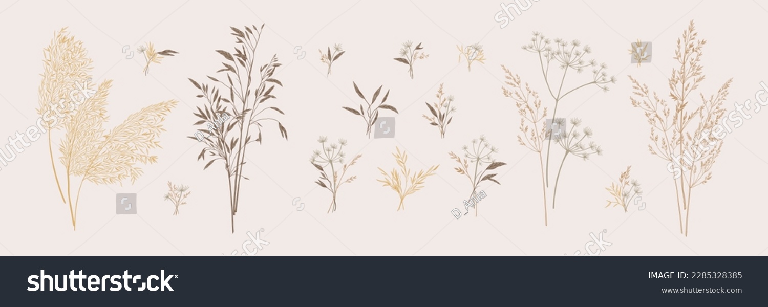 Collection of bouquets of wild herbs. Botanical set with dried grasses. Neutral tones. Vector illustration. Sketch style.  #2285328385