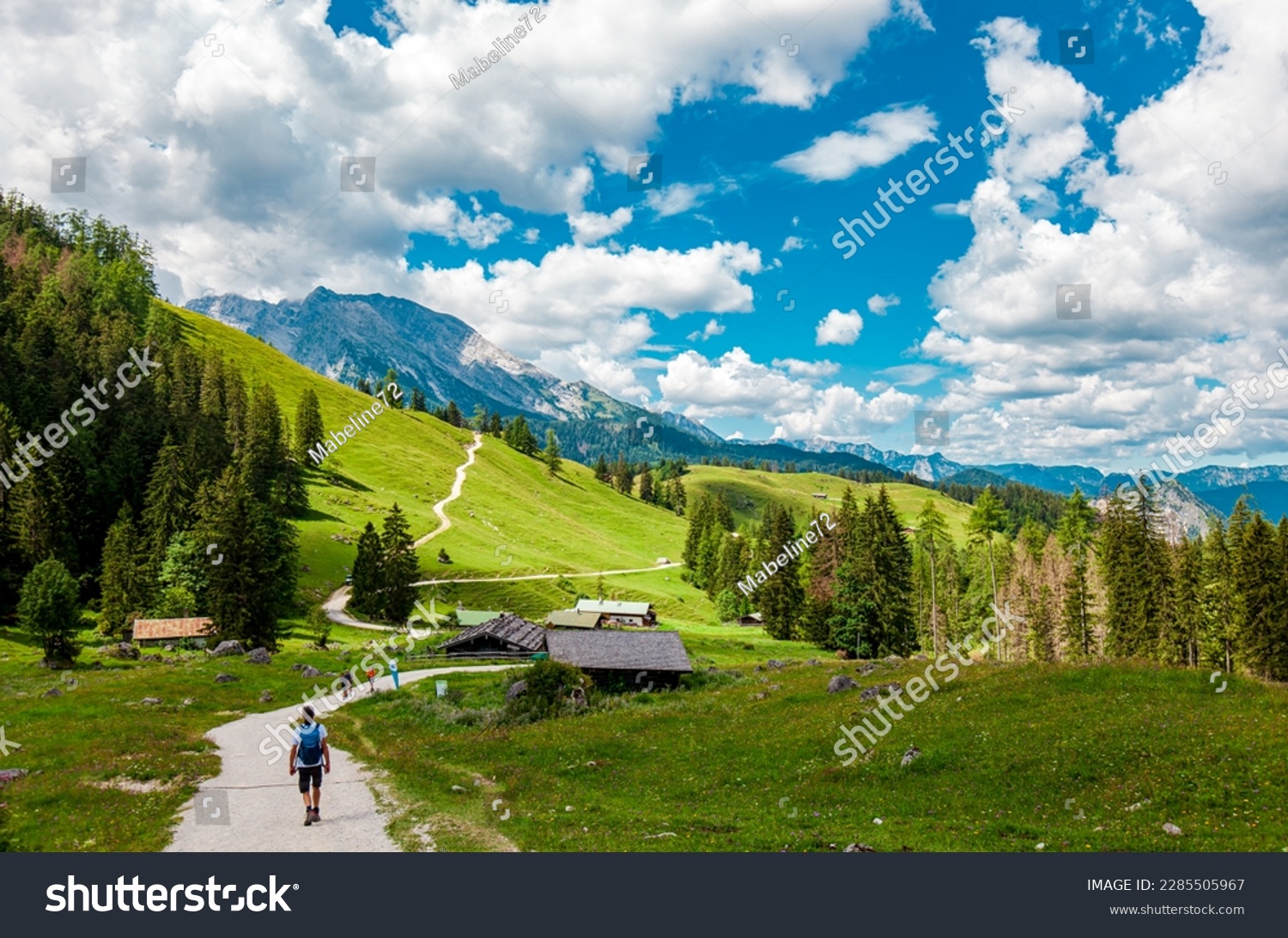 Landscape Scenery, Mountain Jenner, Route Mitterkaseralm. Hiking  in the National park Berchtesgadener Land in Summer, Germany. #2285505967