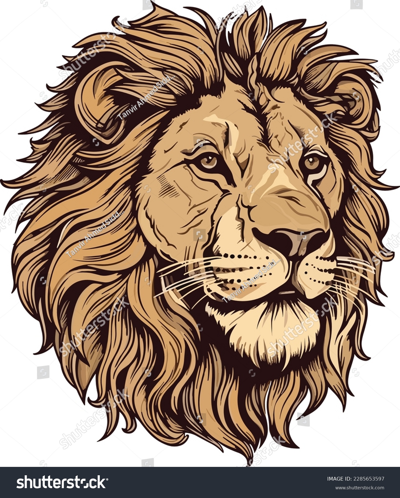 Lion head color illustration. A Lion head logo. - Royalty Free Stock ...