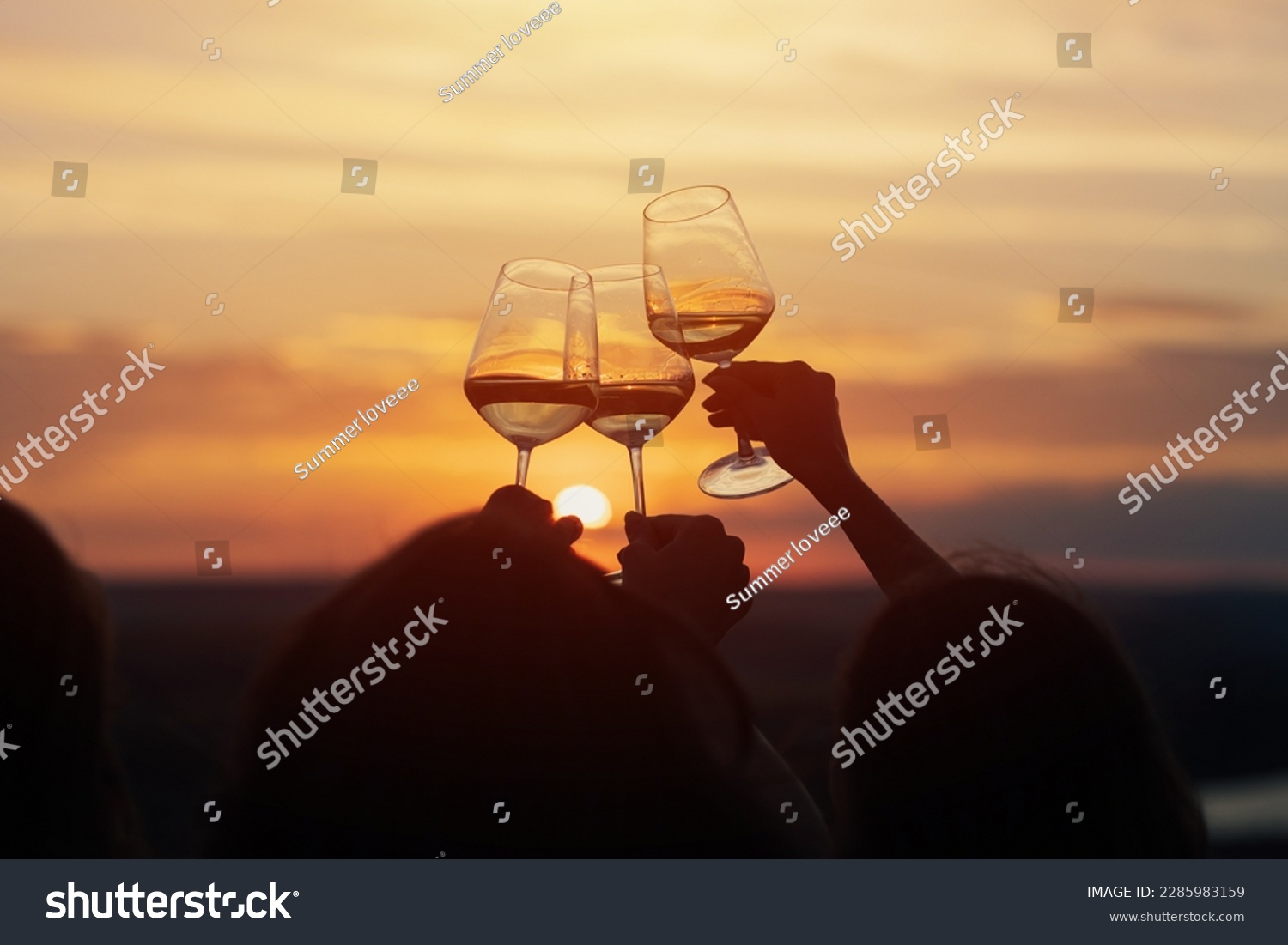 A group of girlfriends raise a toast with glasses of white wine on a sunset. Close shot.	
 #2285983159
