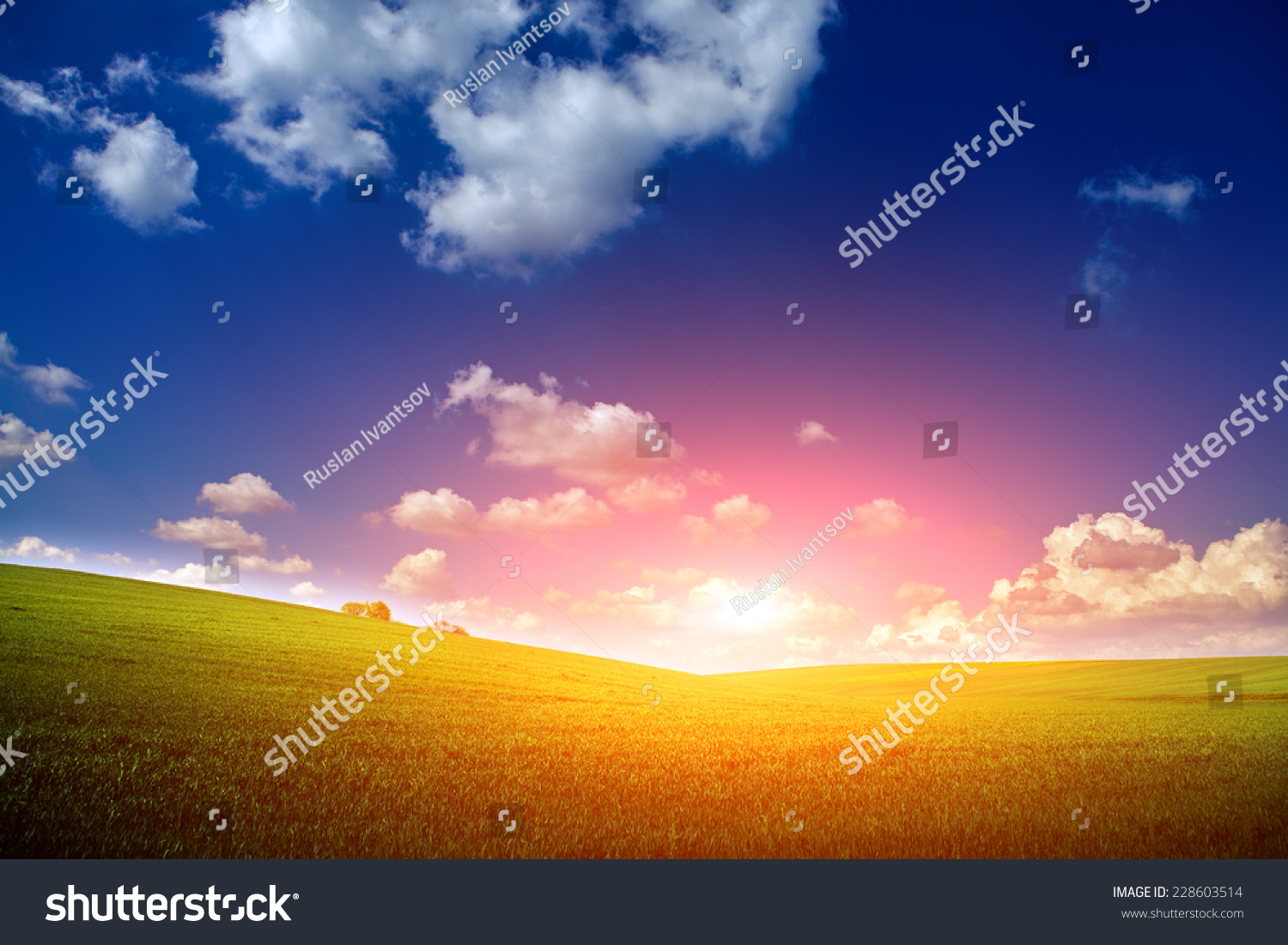 Green Field and Beautiful Sunset #228603514