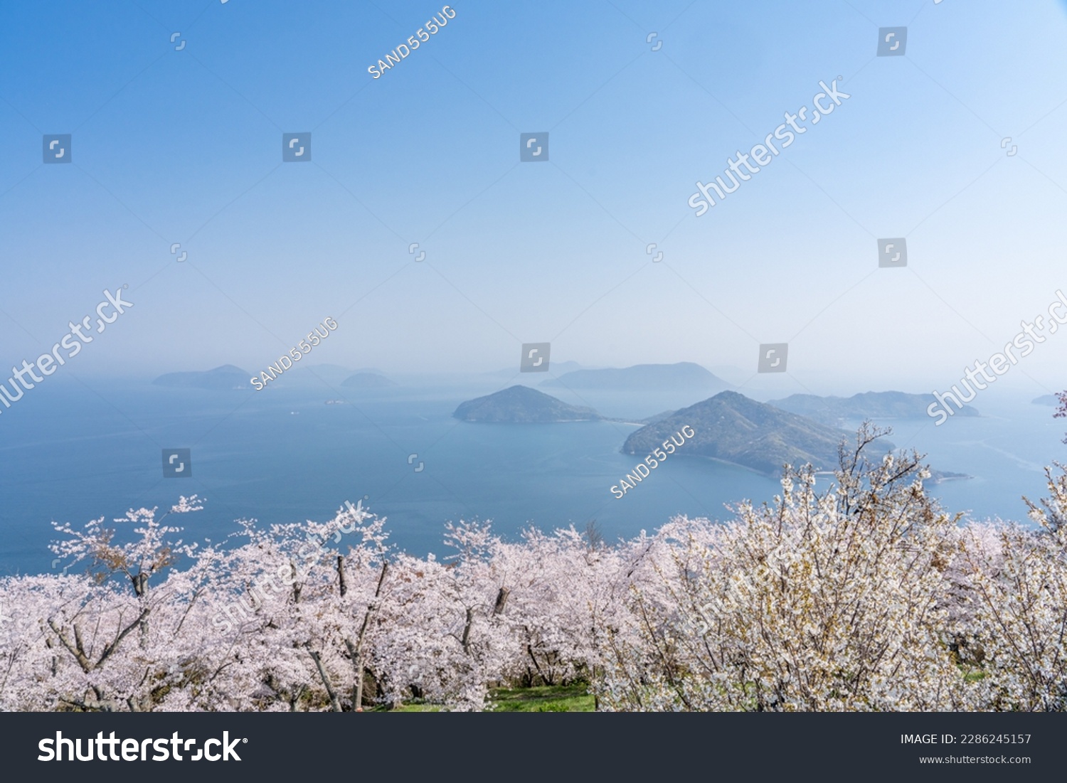 Sakura and Seto Inland Sea of Shiudeyama in Mitoyo City, Kagawa Prefecture #2286245157