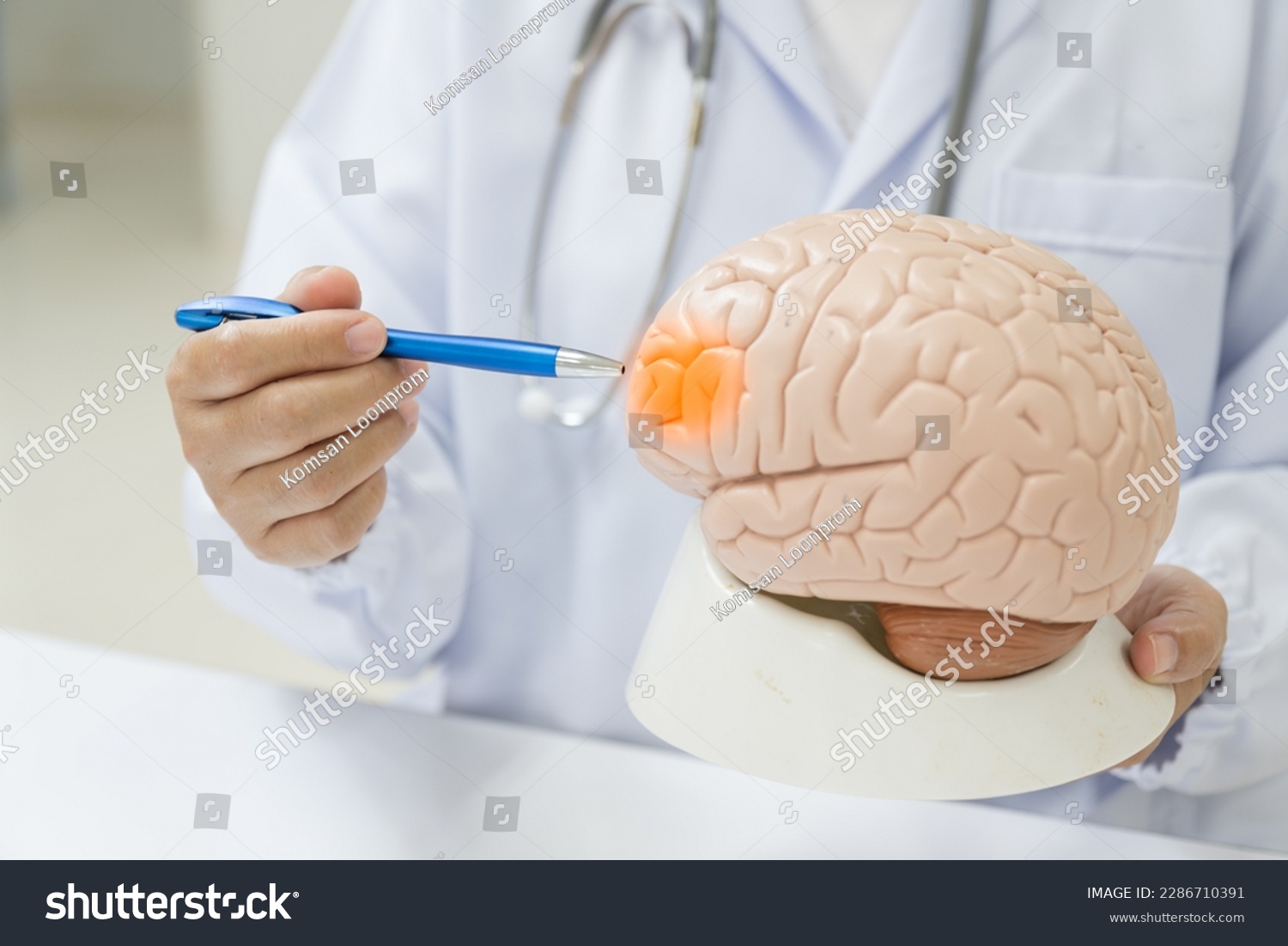 Neurologist hand pointing brain anatomy human model and brain disease lesion on white background.Part of human body model with organ system for health and doctor student study in university. #2286710391