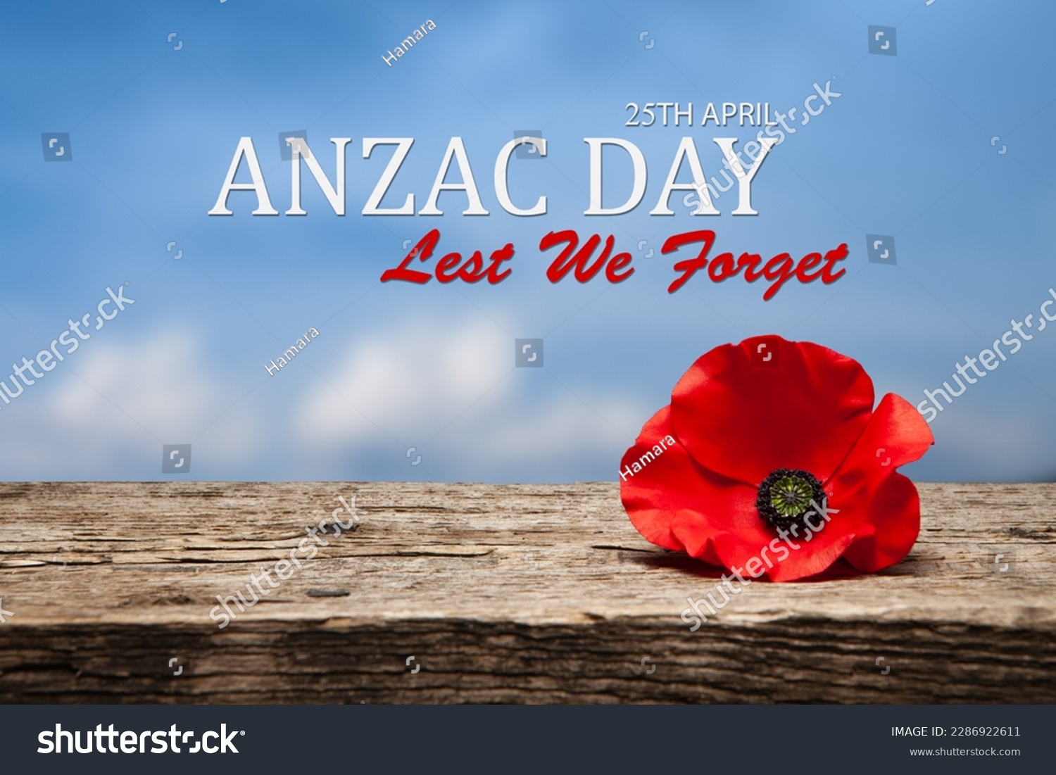 Poppy pin for Anzac Day. Poppy flower on old beautiful high grain, detailed wood on background of blue sky. Anzac Day Lest We Forget. #2286922611