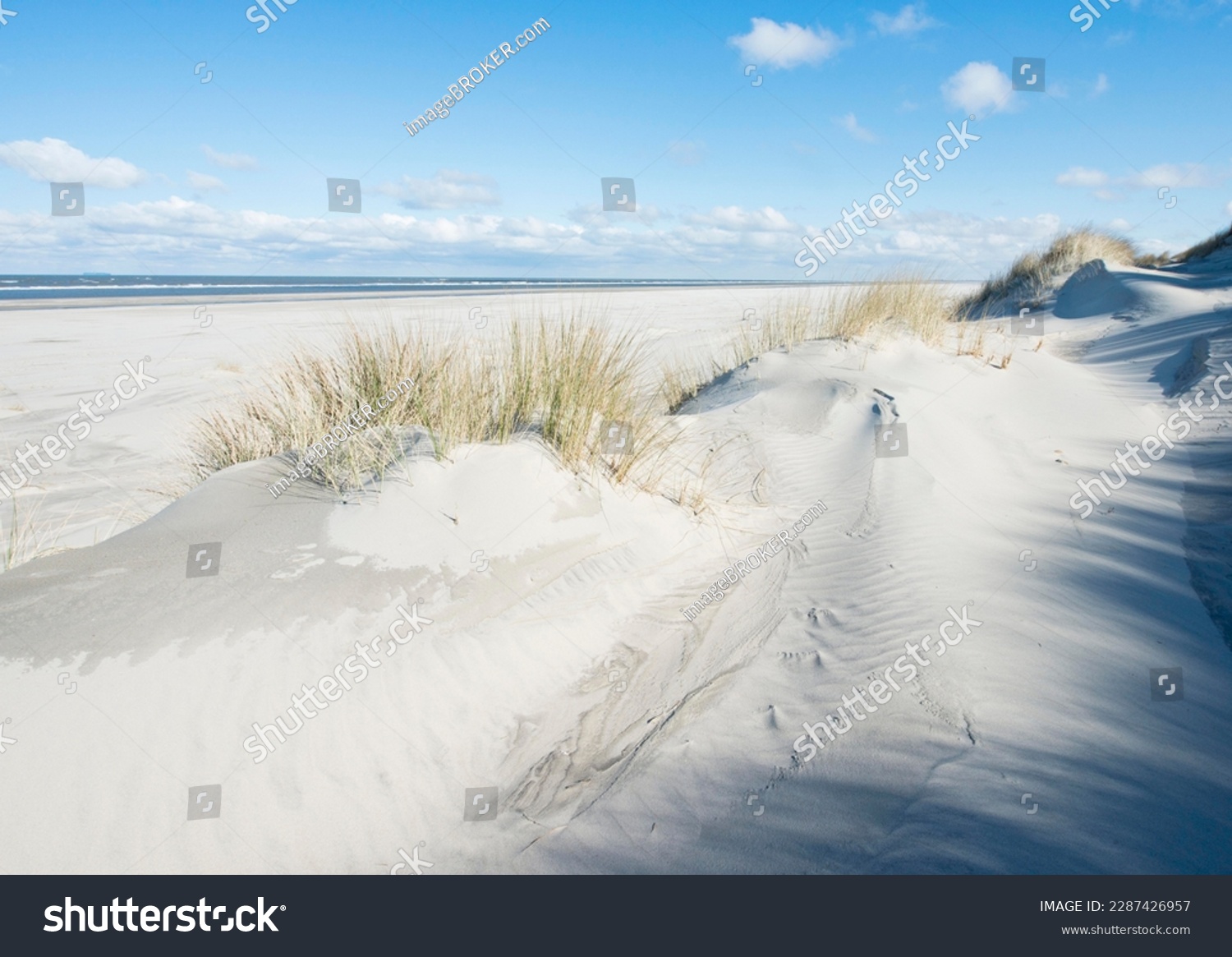 White dunes with beach grass, beach and North Sea, Langeoog, East Frisia, Lower Saxony, Germany #2287426957