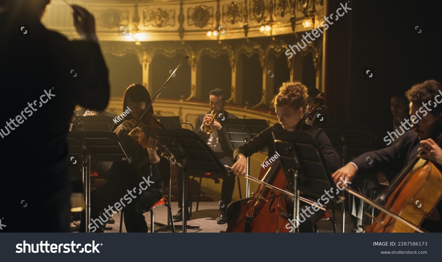 Cinematic Shot of Symphony Orchestra Musicians Performing on the Stage of a Classic Theatre During a Classical Music Concert. Focused Performers Playing Different Instruments #2287586173