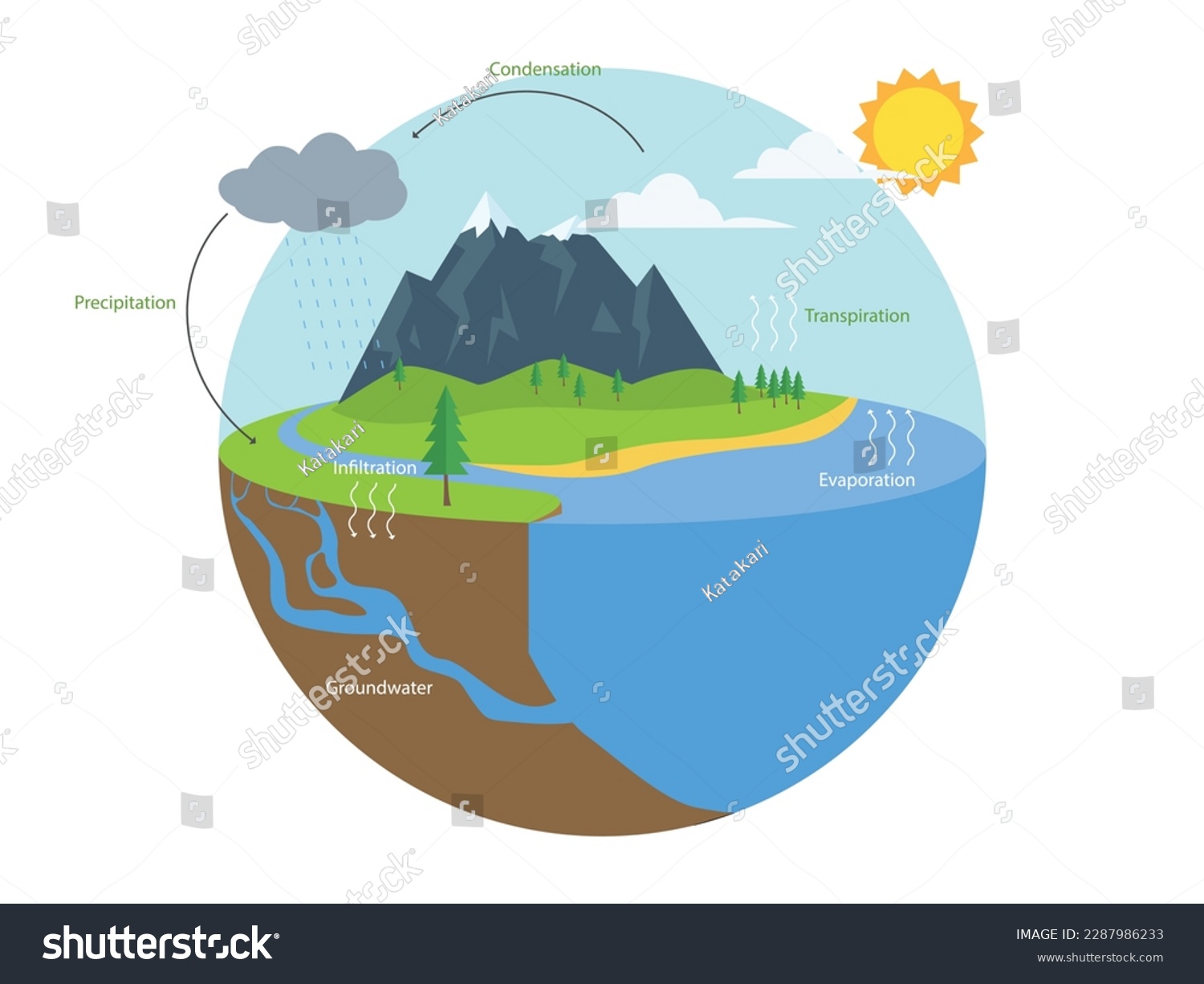 Water cycle infographic. Hydrologic Geography - Royalty Free Stock ...