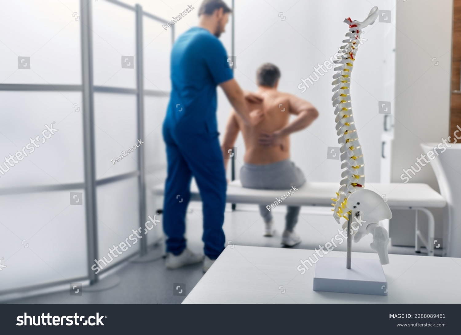 Anatomical model of spine on table in manual therapist's office. Adult man patient during spinal exam by physiotherapist on background, soft focus #2288089461