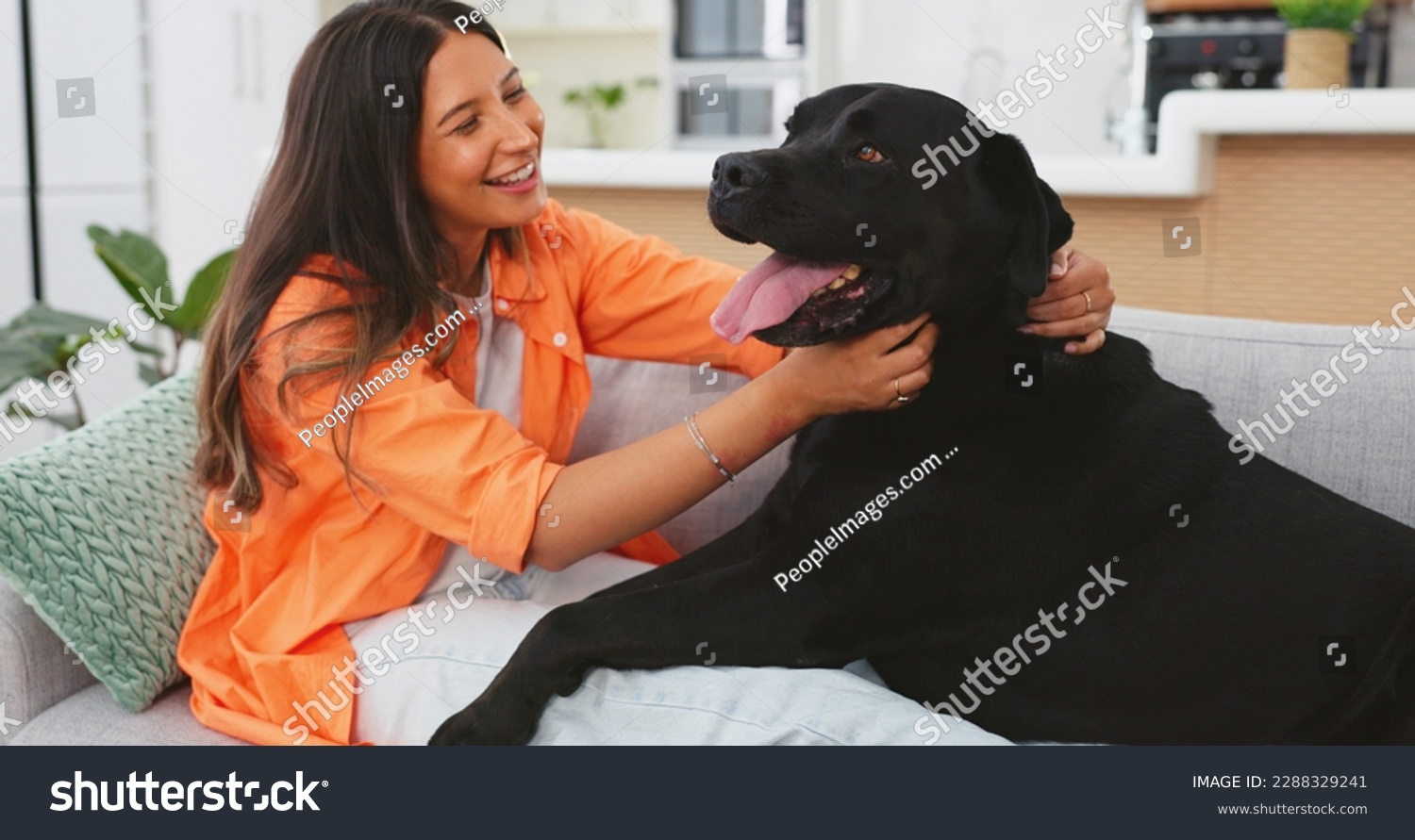Happy woman relax with her dog on sofa for mental health, wellness or emotional support, love and care. Young person relaxing on living room couch and stroking puppy pet, animal or Labrador retriever #2288329241