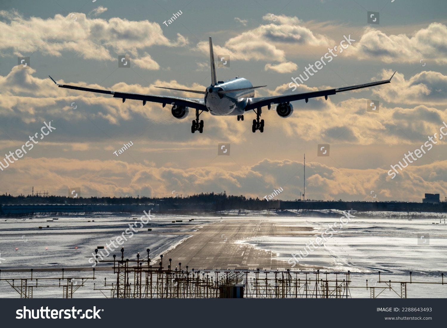Airplane landing to airport runway at sunset #2288643493
