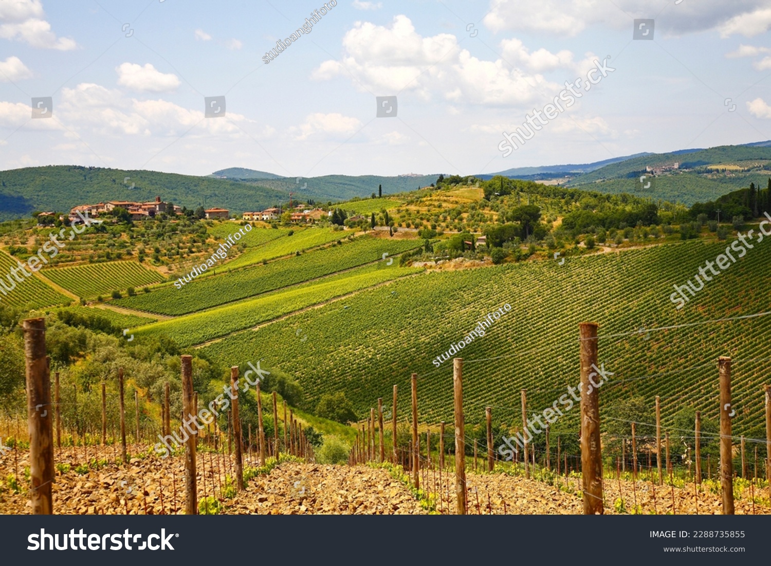 Wine factories of Chianti.Characteristic of this part of Tuscany is the fascinating succession of villages, vineyards and hills. Tuscany, Italy #2288735855