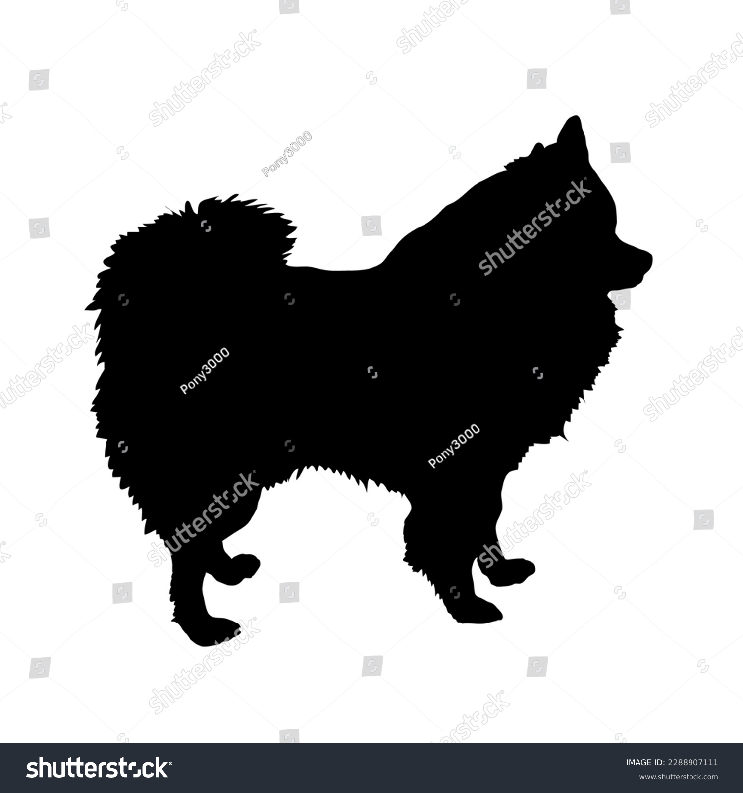 Pomeranian Spitz Dog Silhouette. Pet. Animal. - Royalty Free Stock 