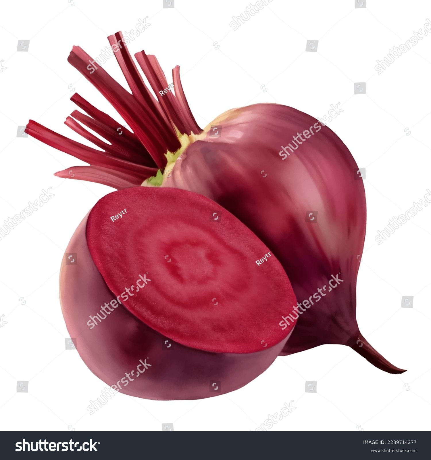 A Whole and Half Beetroot Isolated Hand Drawn Painting Illustration #2289714277