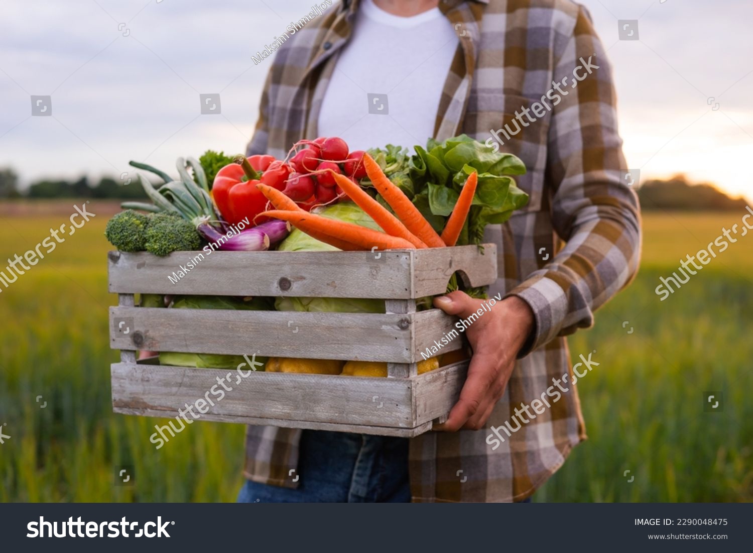 Farmer with a vegetable box in front of a sunset agricultural landscape. Man in a countryside field. Country life, food production, farming and country lifestyle concept. #2290048475