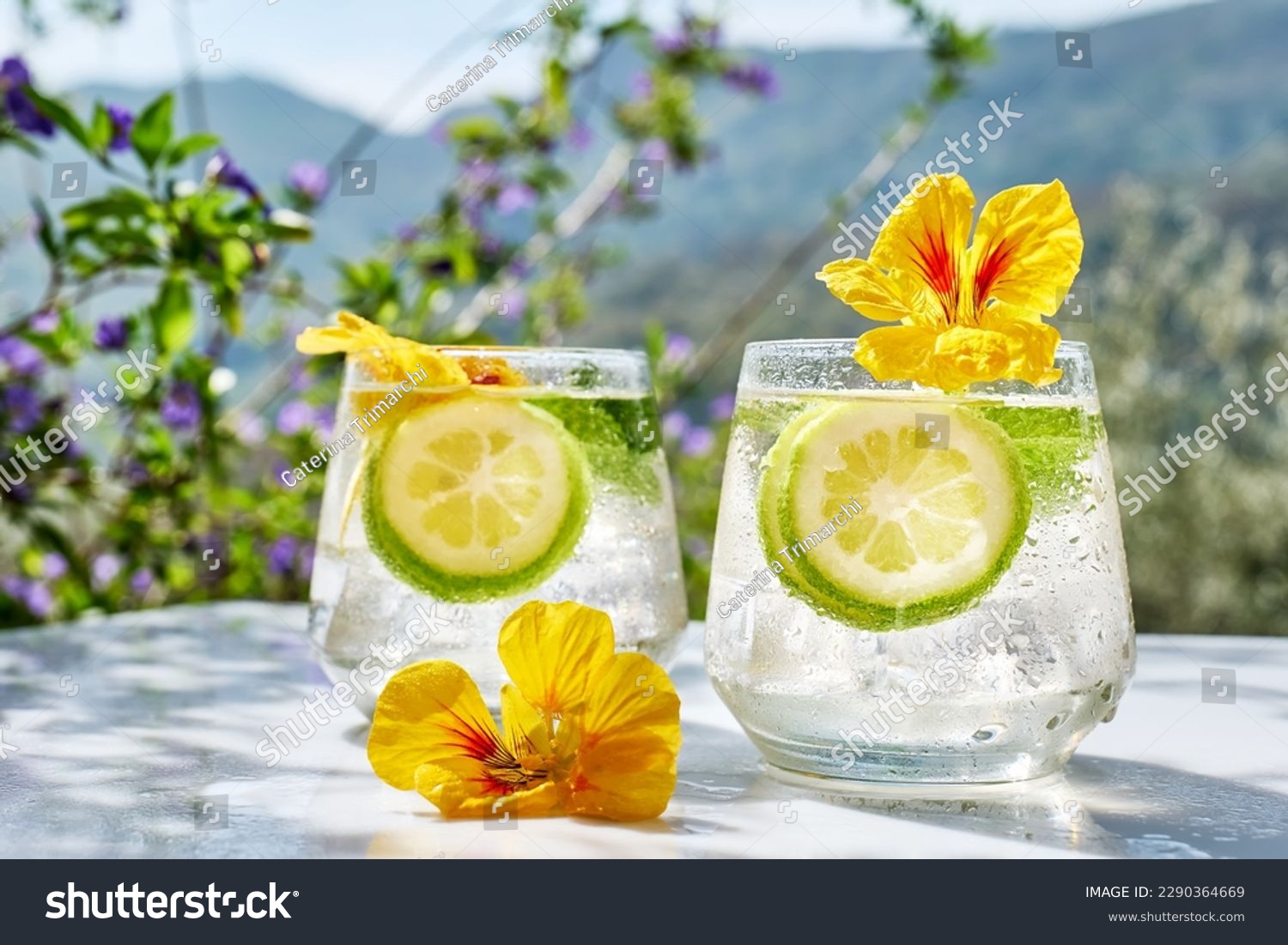Iced lemonade with edible nasturtium flowers, lime and mint leaves. Refreshing summer drink. Healthy organic summer soda drink. Detox water. Diet unalcolic coctail. #2290364669