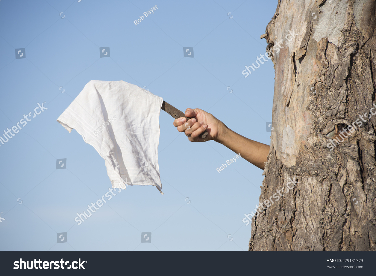 Arm and hand of person hiding behind tree holding white flag, cloth or handkerchief as sign for peace, resignation and negotiations, with blue sky as outdoor background and copy space. #229131379
