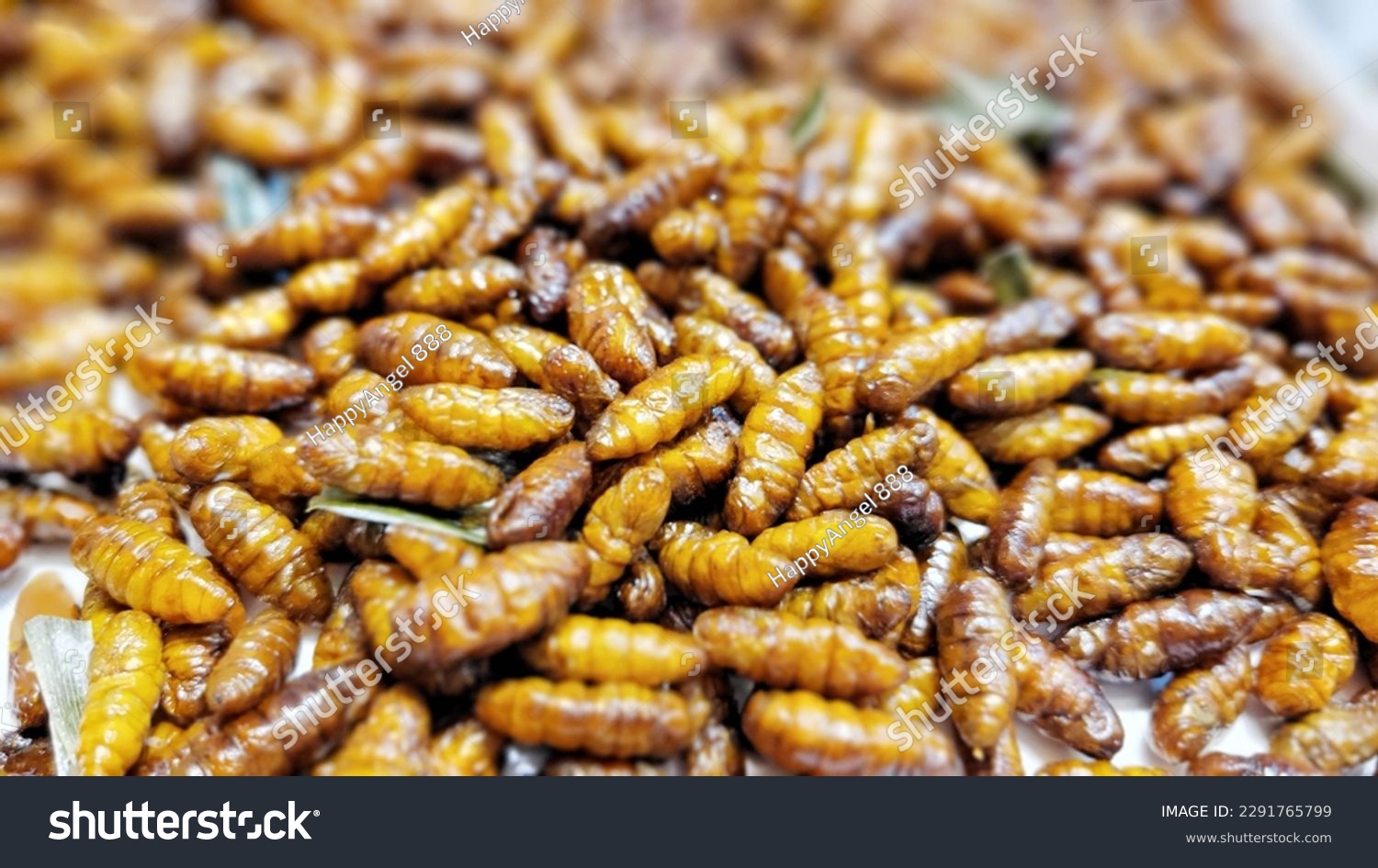 Pupa, Silkworm fried food, fried insect in Asia, Thailand. Thai street street food  #2291765799