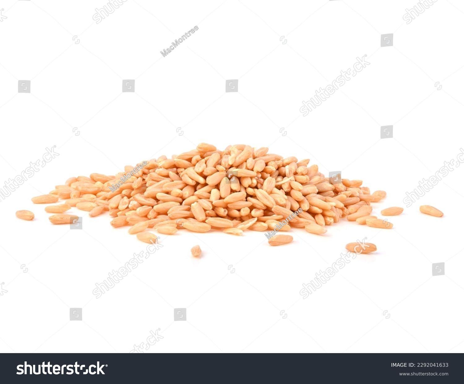 oat groats bird seed isolated on white background. Oat Groats are the hulled kernels of oats and are minimally processed to retain their natural nutrients #2292041633