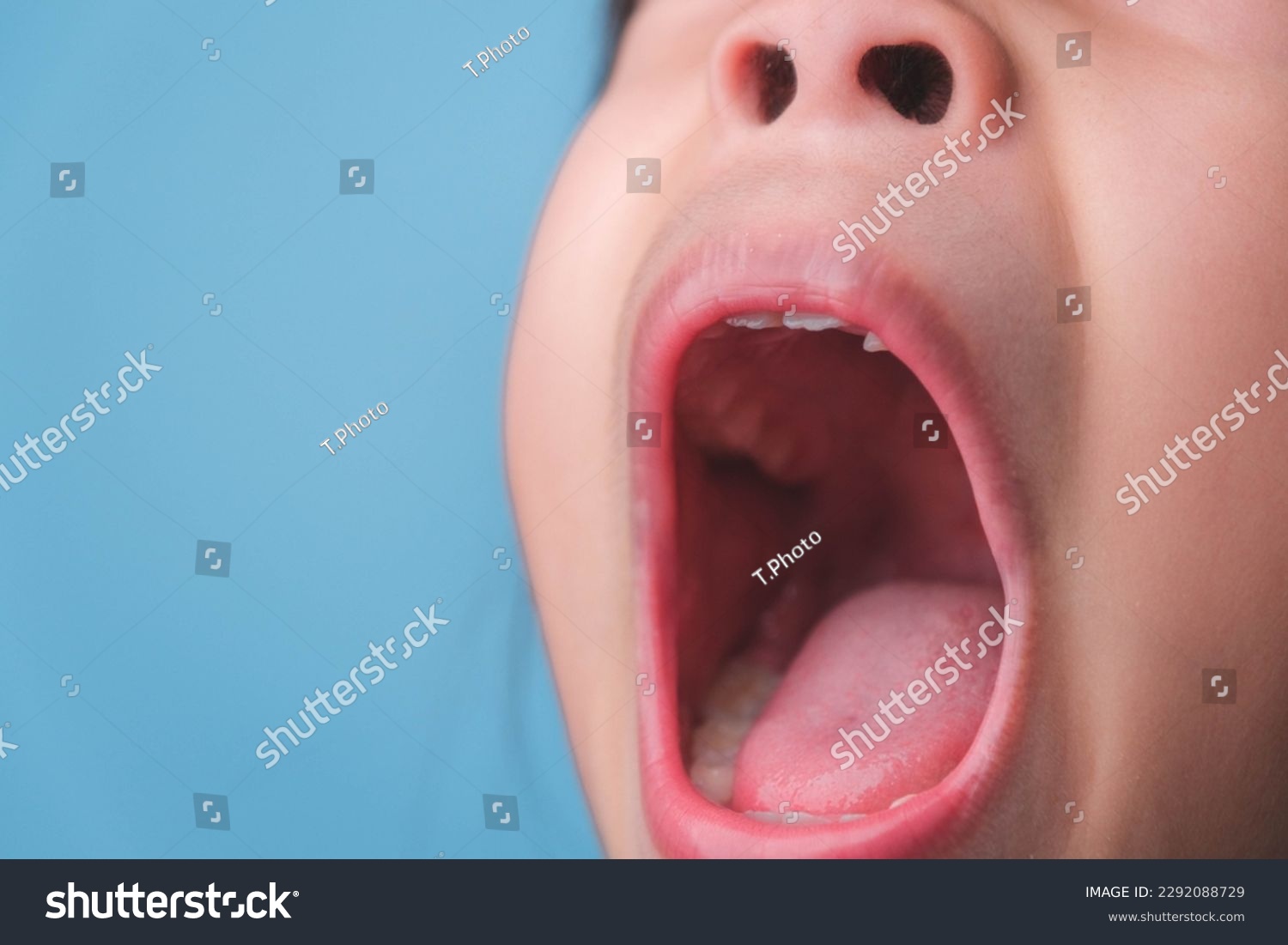 Close-up inside the oral cavity of a healthy child with beautiful rows of baby teeth. Young girl opens mouth revealing upper and lower teeth, hard palate, soft palate, dental and oral health checkup. #2292088729