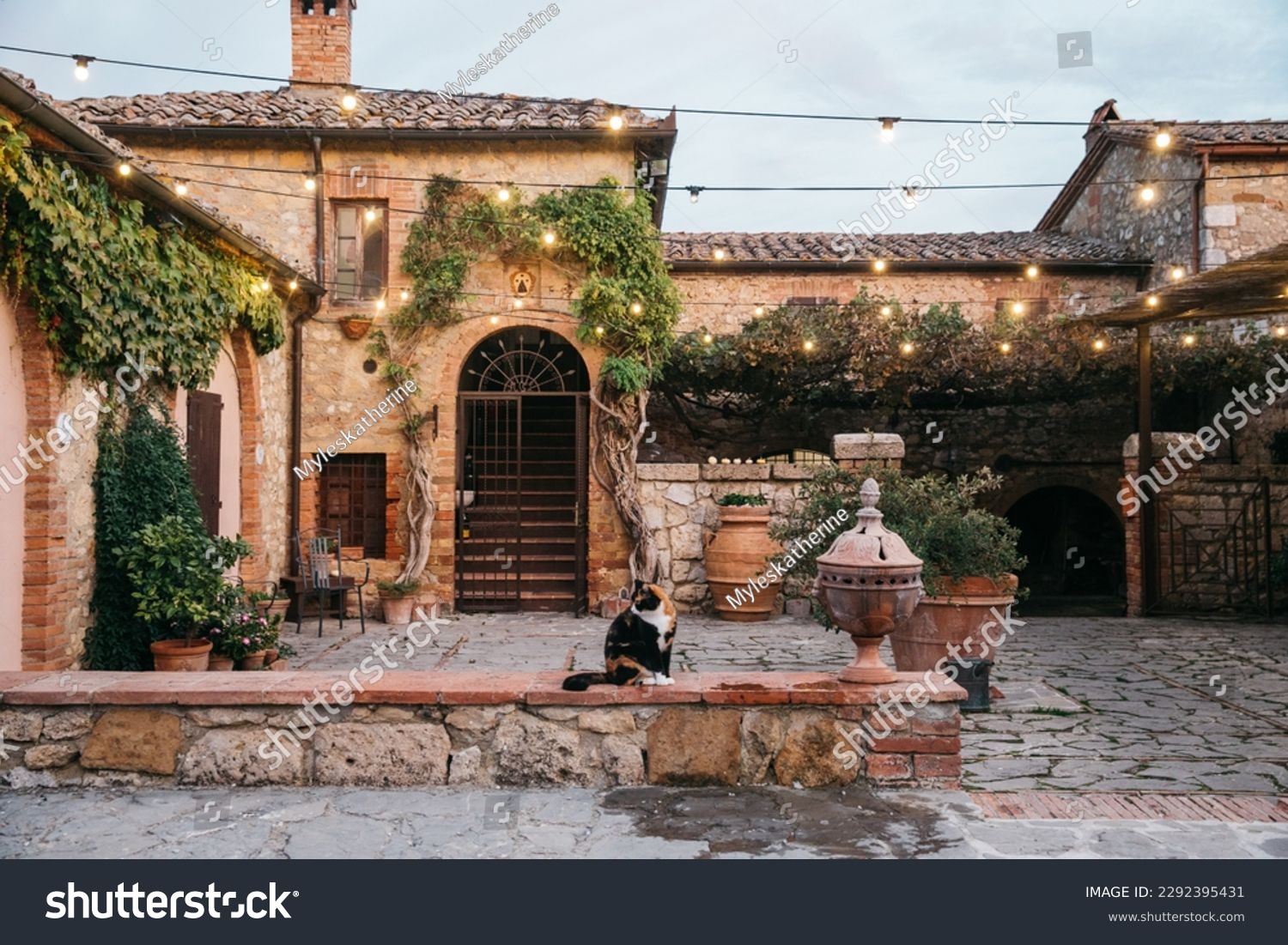 Building with Vines in a doorway in Tuscany, Italy with Cat at sunset #2292395431