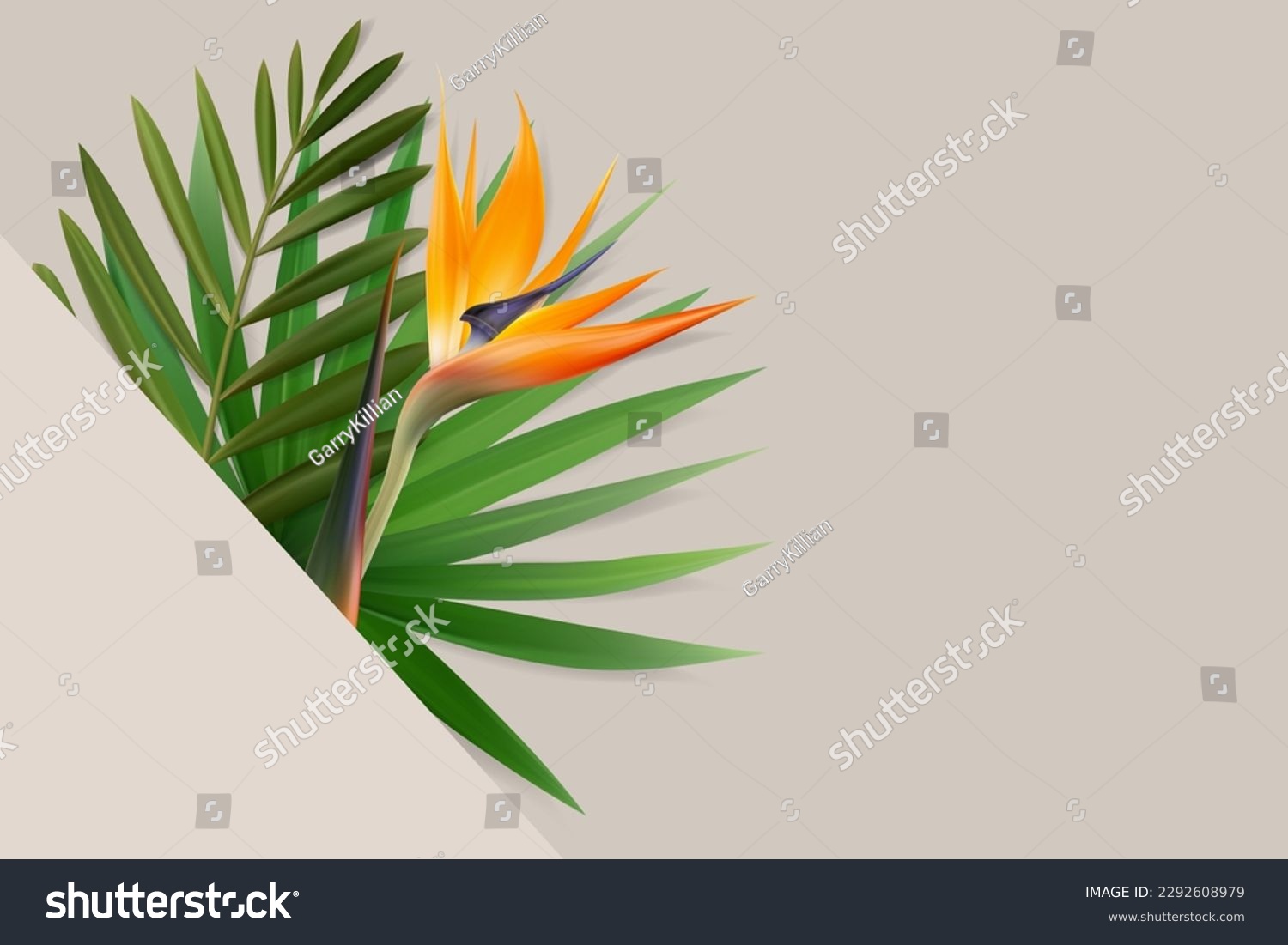 Vector tropical leaves and Strelitzia flower - Royalty Free Stock ...