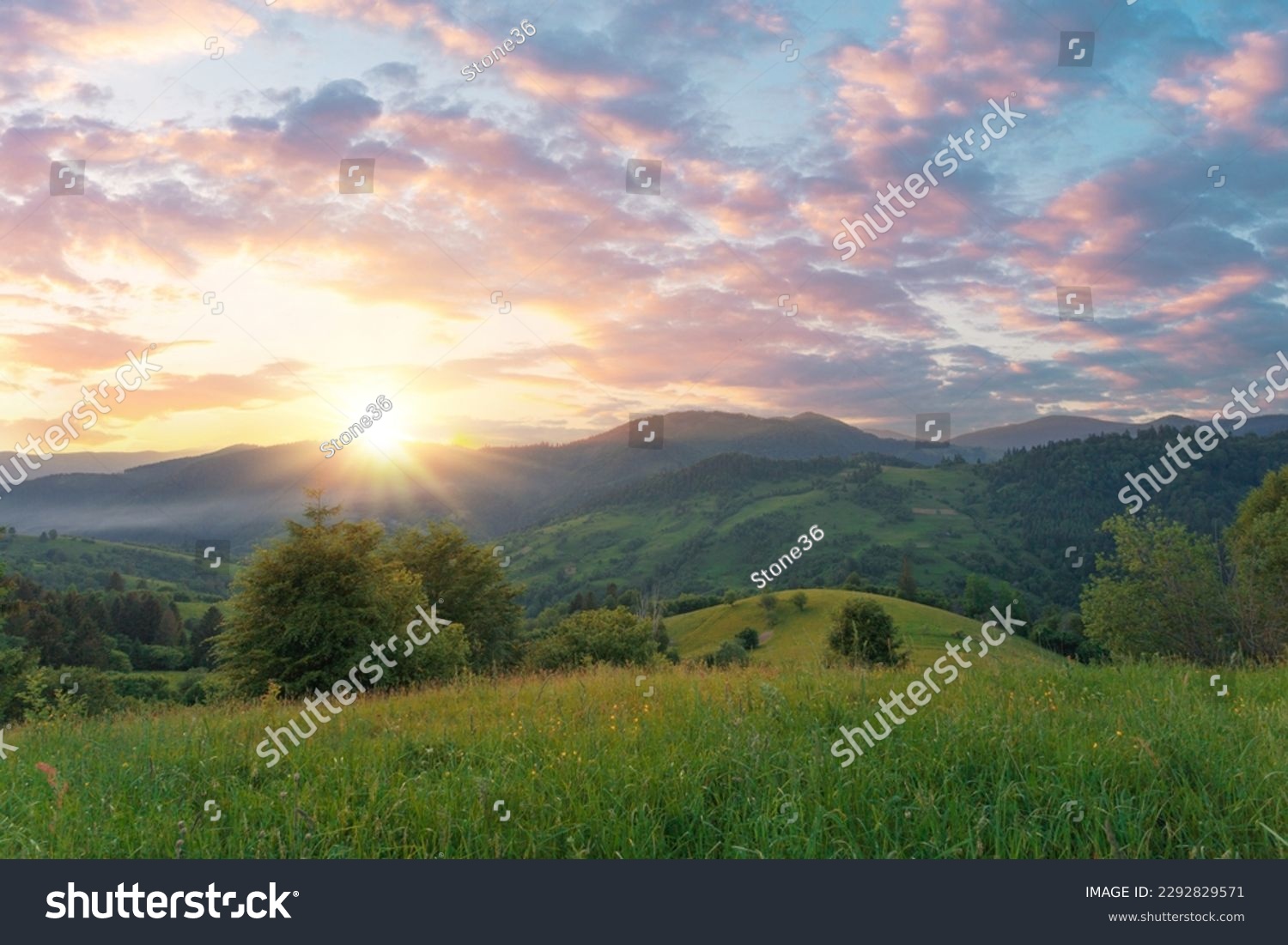 Green grass meadow on a mountain hill under a gorgeous sunset sky. Carpathian mountains. Ukraine. #2292829571