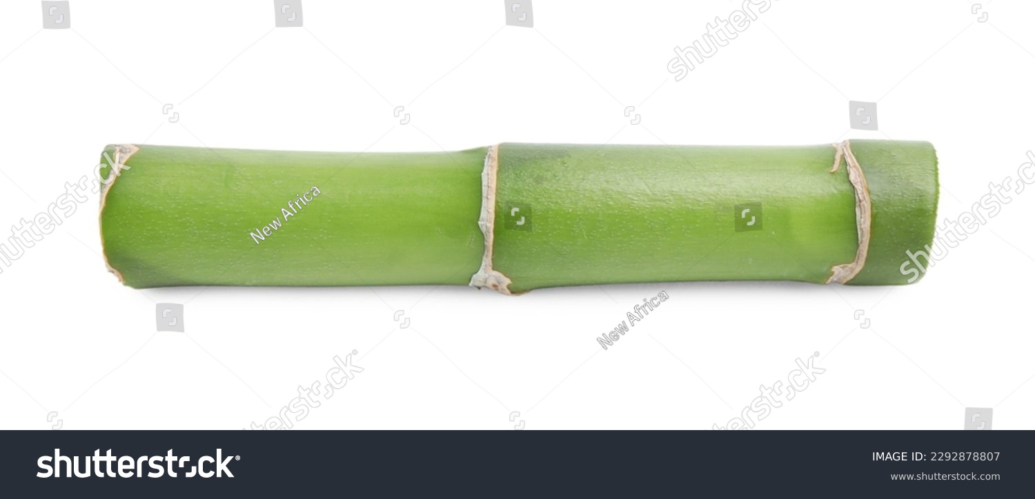 Piece of beautiful green bamboo stem on white background #2292878807